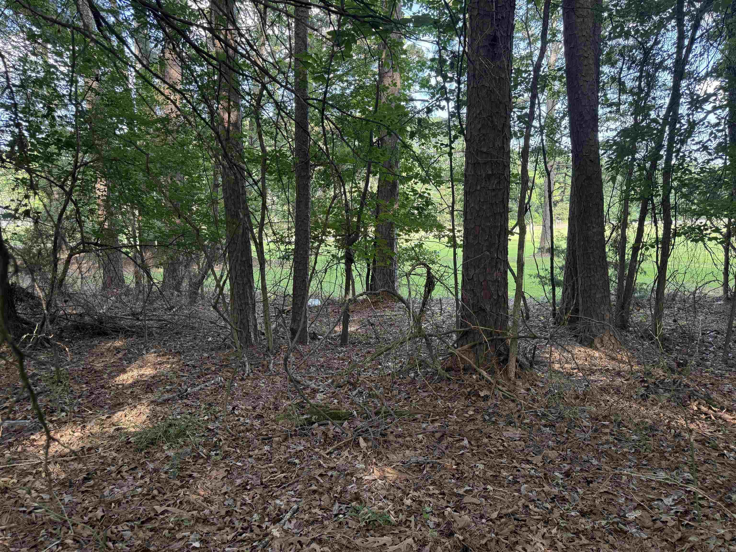 Birchwood - Land