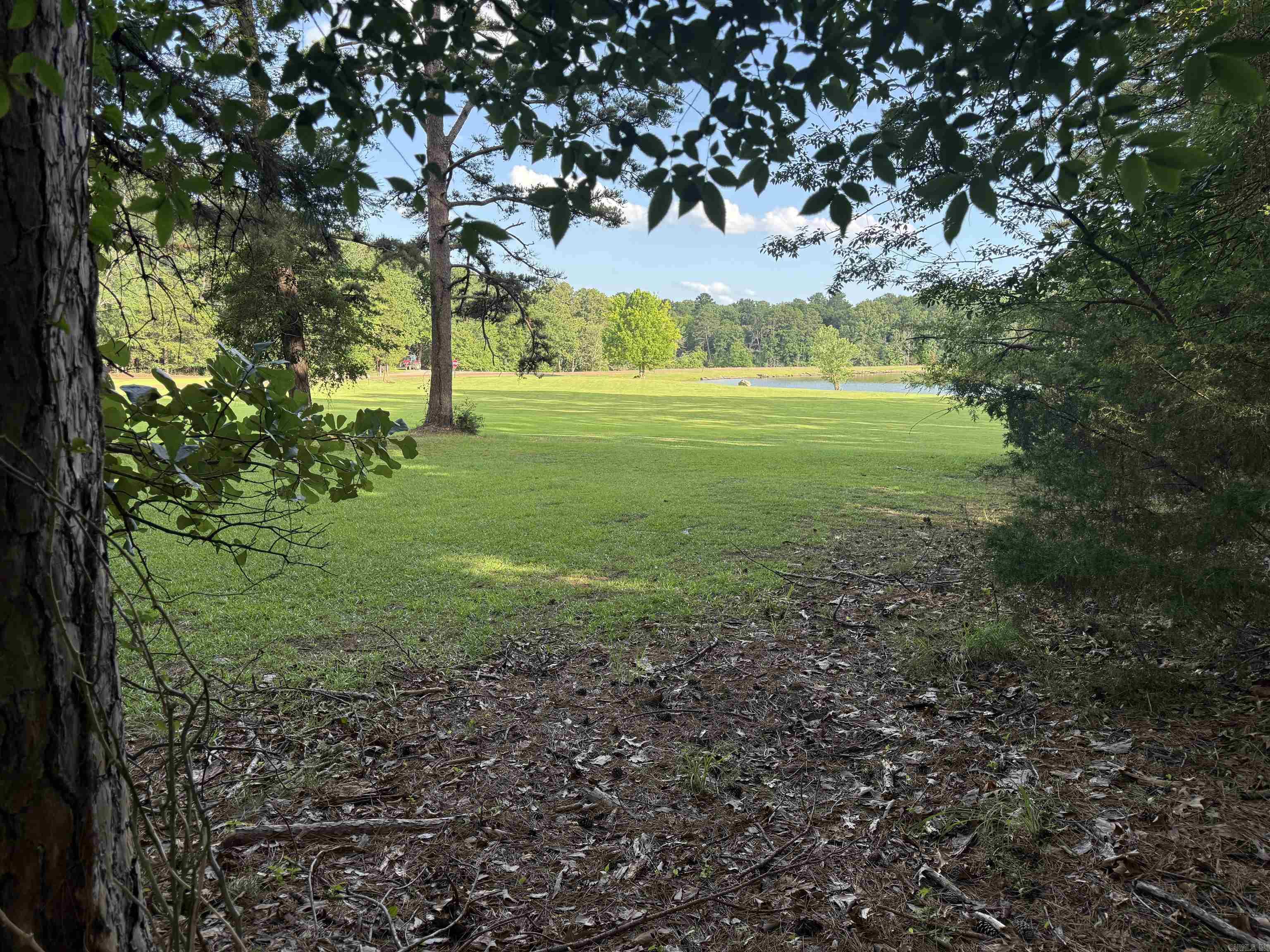 Birchwood - Land