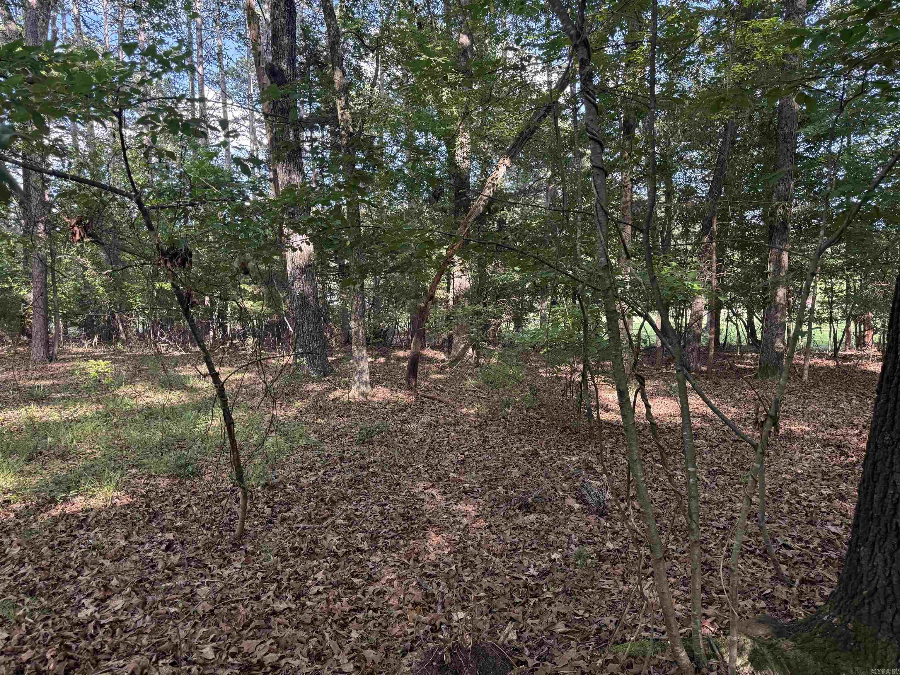 Birchwood - Land