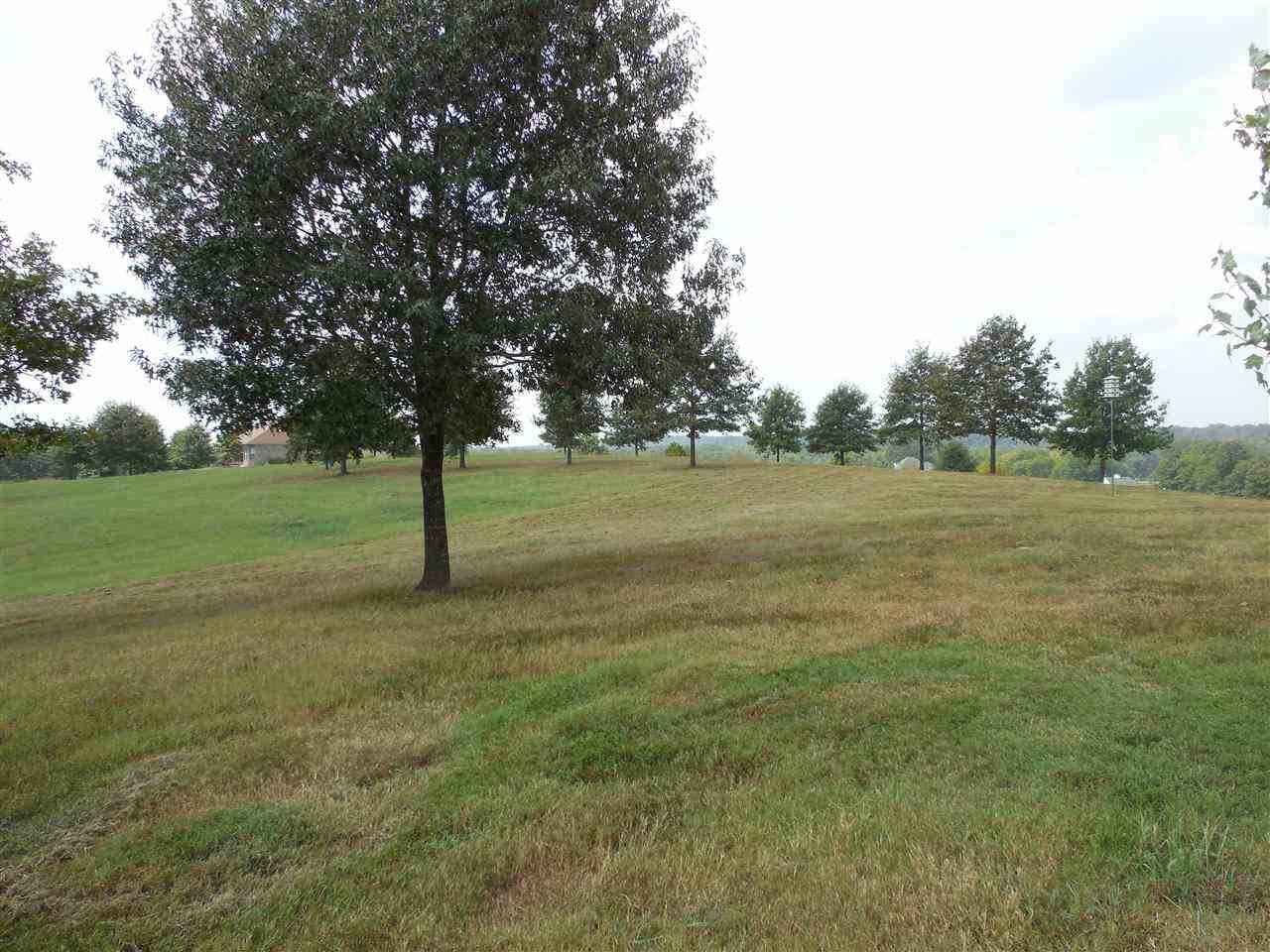 River Ranch - Land