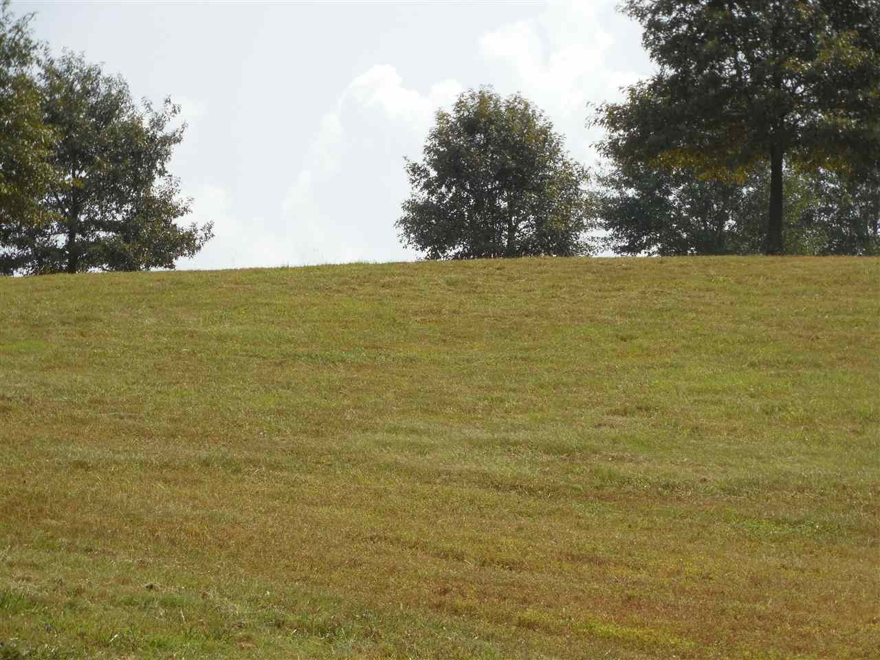 River Ranch - Land