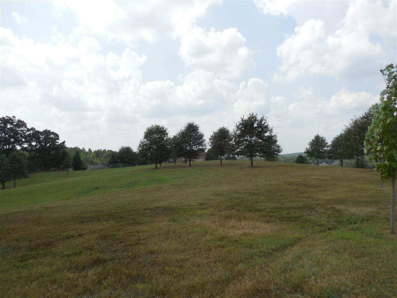 River Ranch - Land