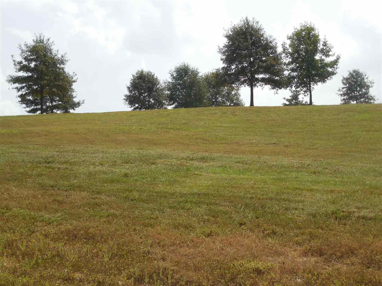 River Ranch - Land