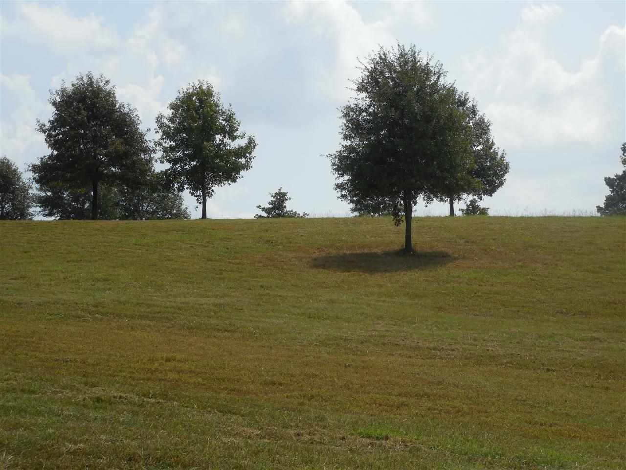 River Ranch - Land
