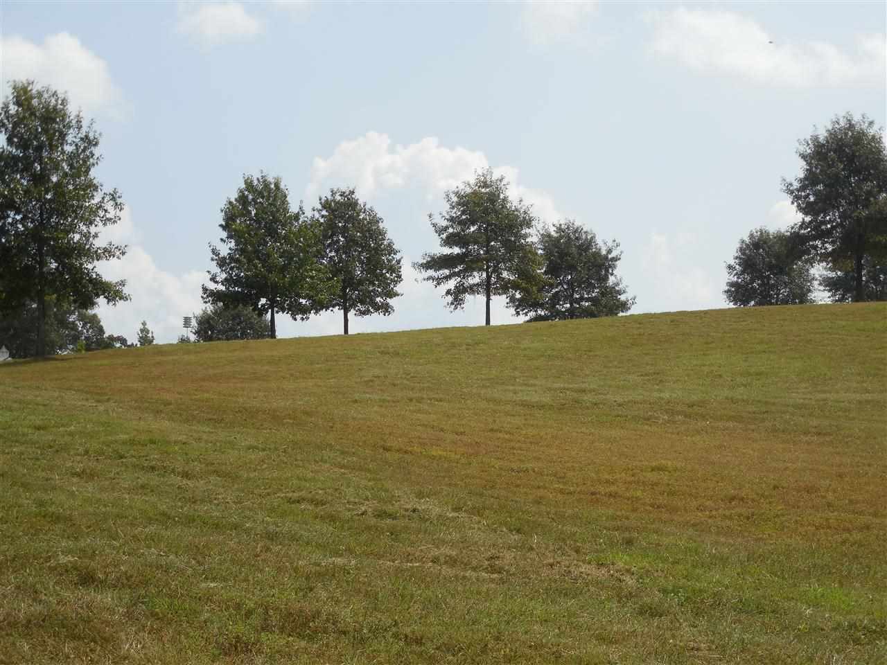 River Ranch - Land