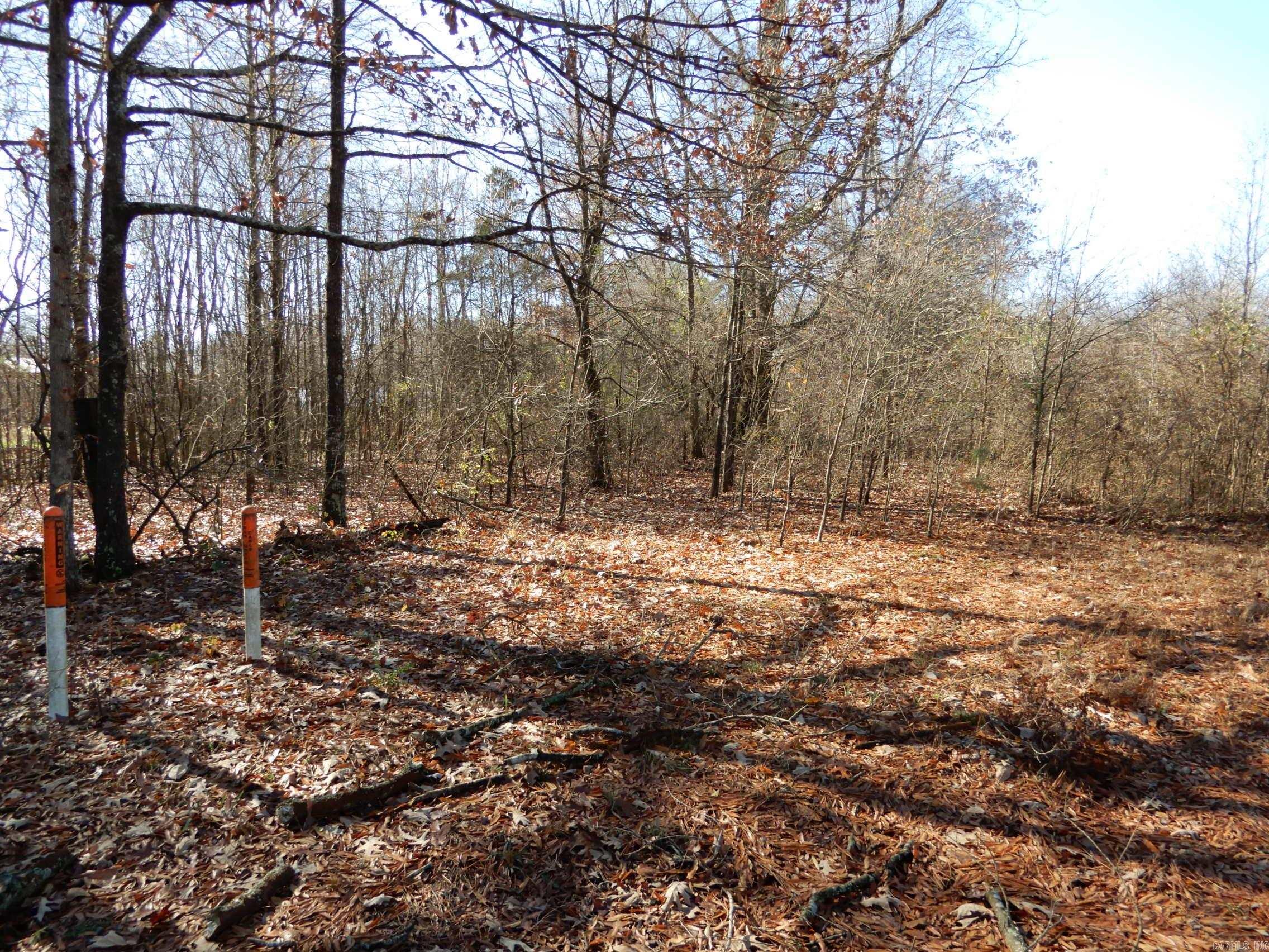 Nice level wooded area with just a few neighbors, great chance to be out of town in between Bald knob and Bradford