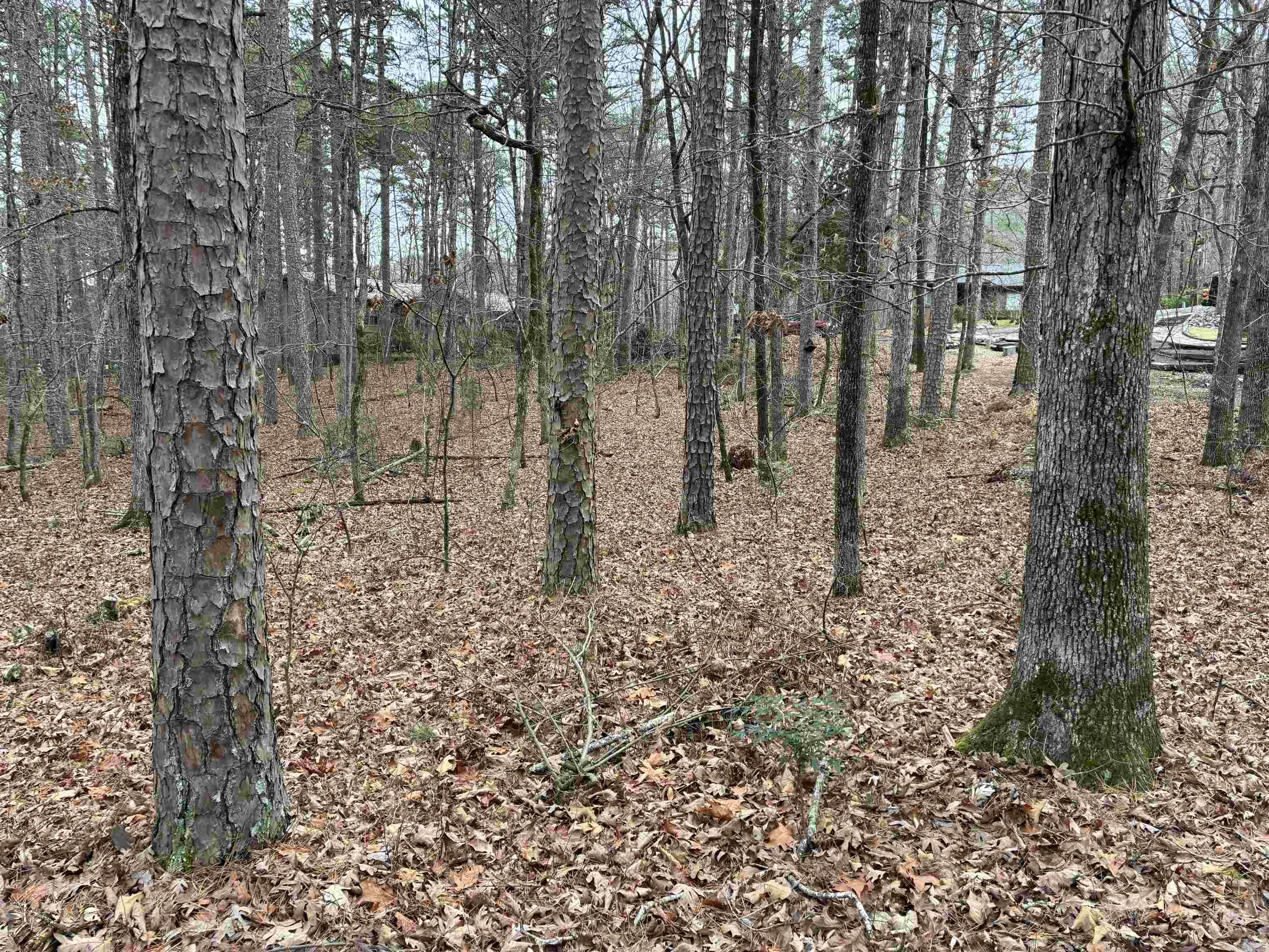 Quiet Subdivision close to the West Gate entrance. Hot Springs Village is known for its 9 golf courses, 11 lakes, marinas, beaches, hiking trails, fitness centers, swimming pools, and tennis and pickleball courts.  Perfect place to Build a Home.  New members pay a Buy-in fee of $300 to the POA at Closing.