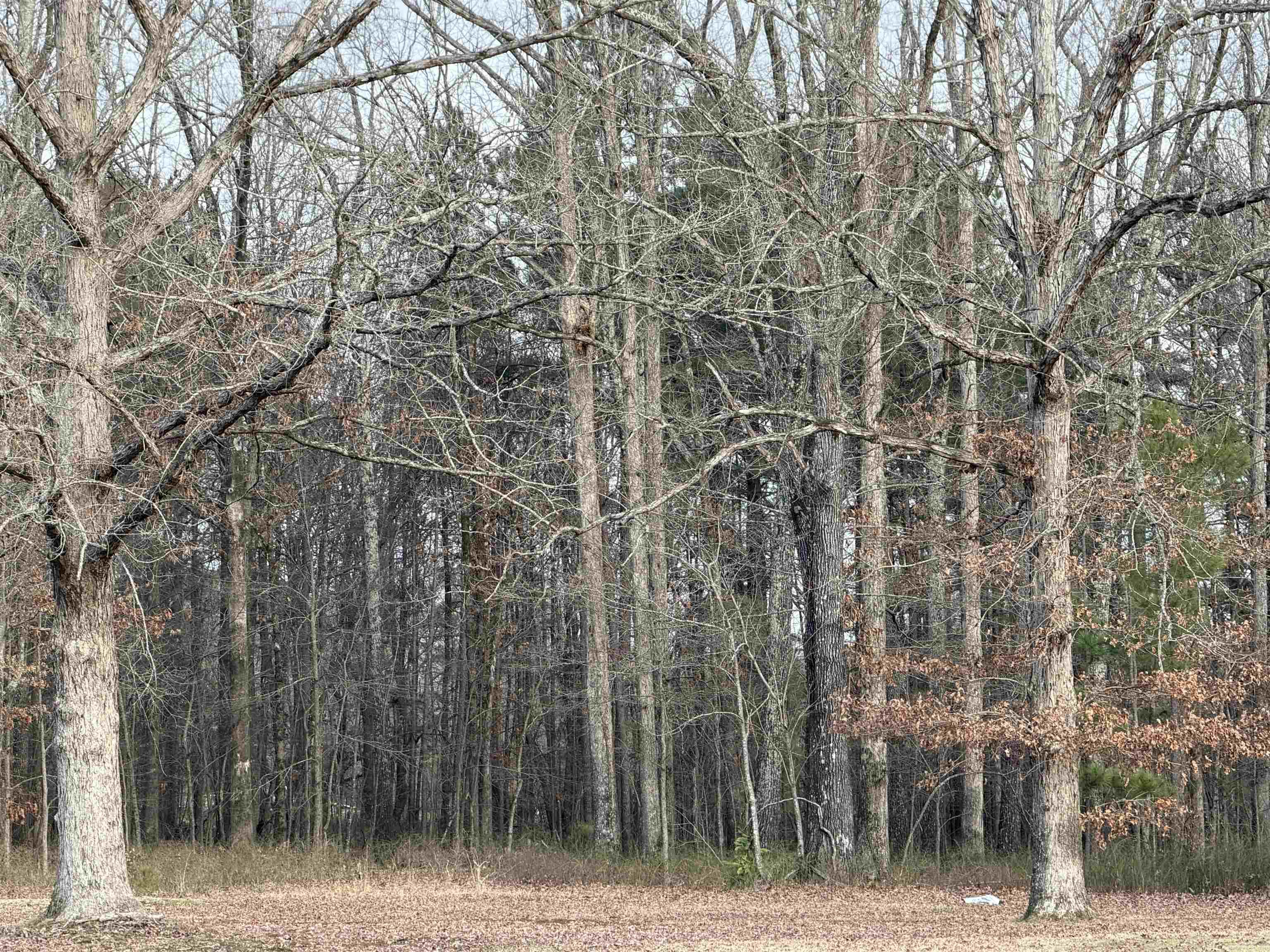 FO Mcgehee - Land