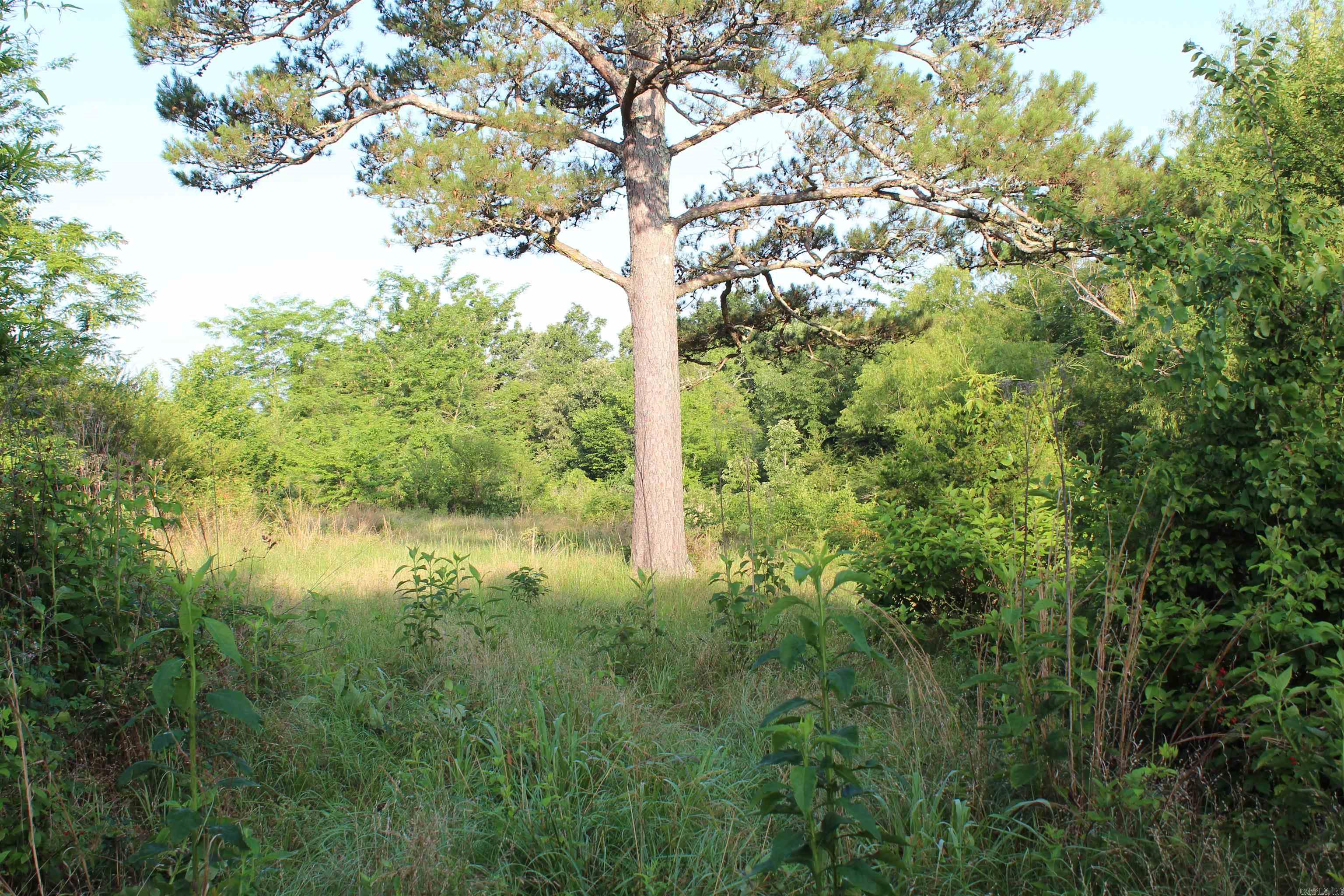 Not in Subdivision - Land