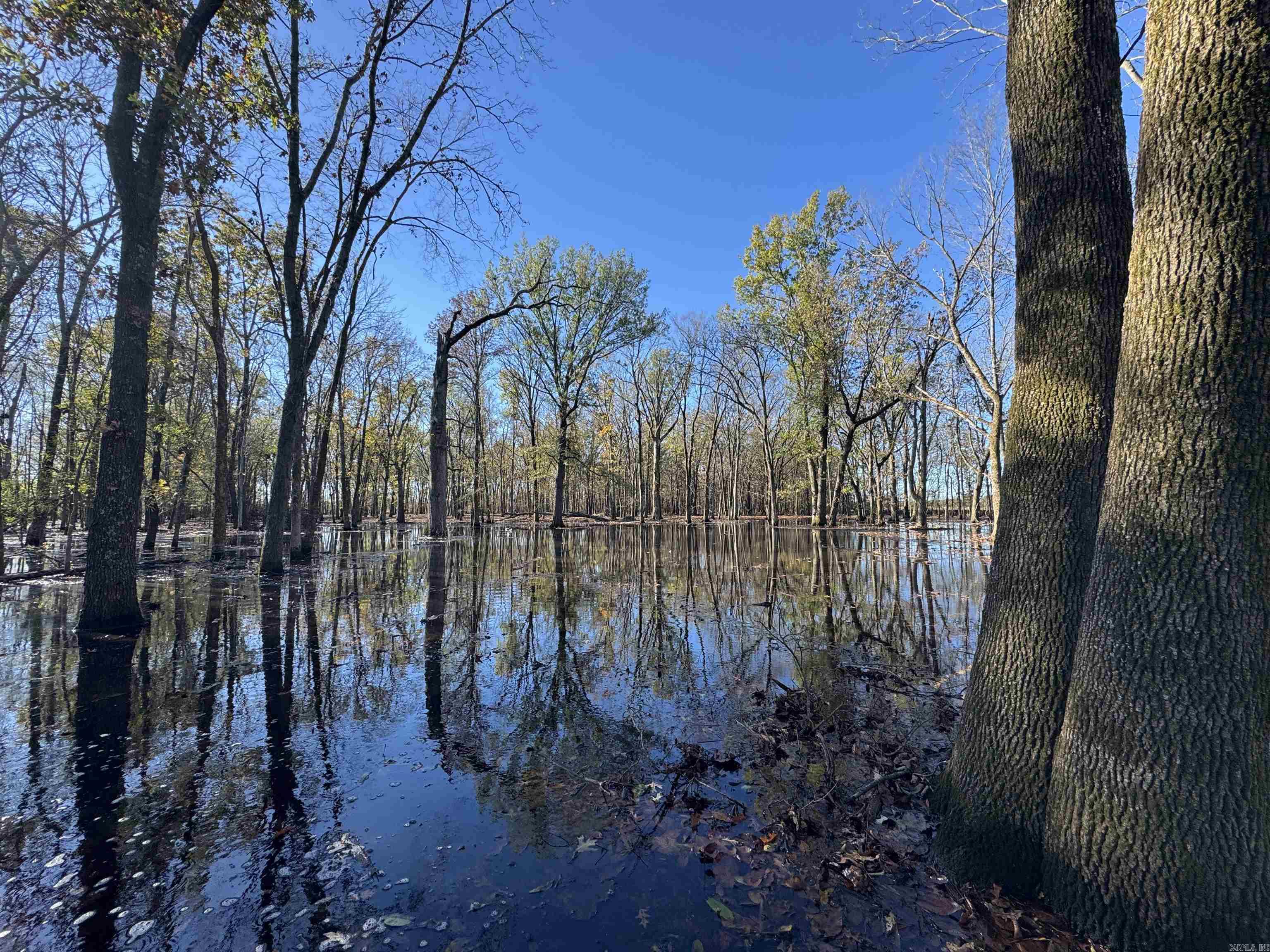 645 +/- acre row crop and waterfowl farm with lodge.