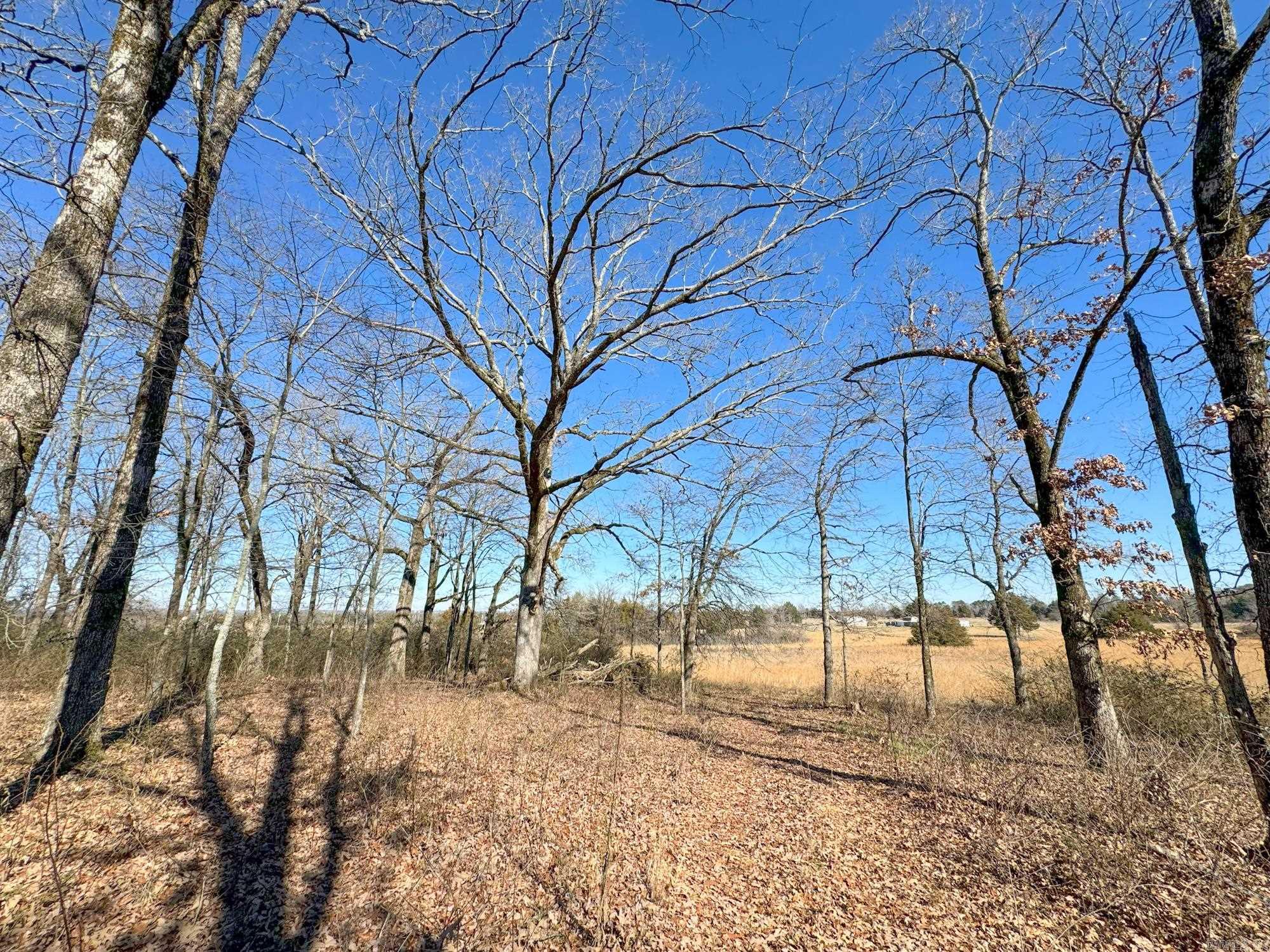Caldwell Farms - Land