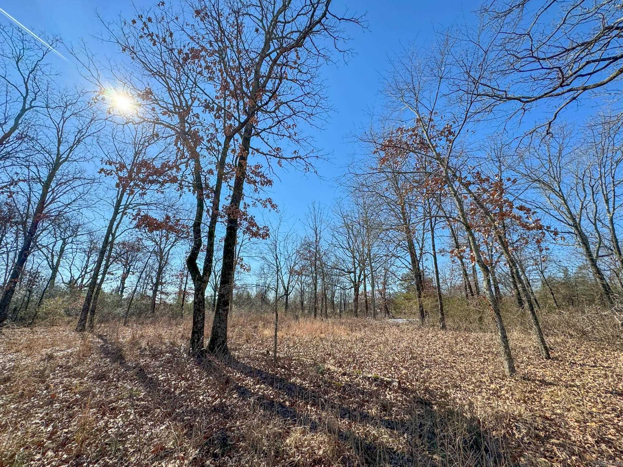 Caldwell Farms - Land