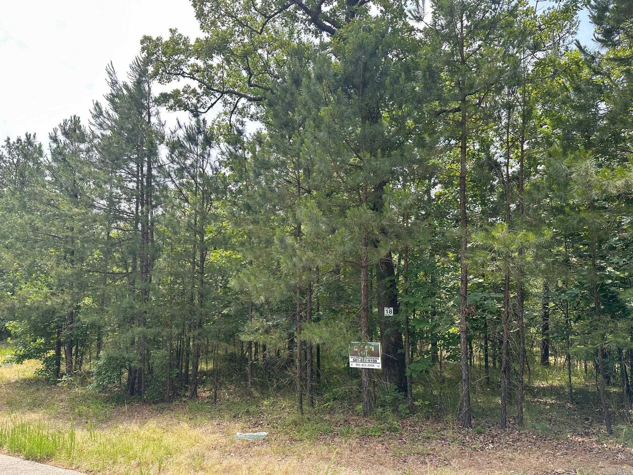 GREAT BUILDING SITE IN THE PREMIER GATED COMMUNITY OF HOT SPRINGS - RED OAK RIDGE .  SITUATED ON 800 ACRES.ENJOY SERENITY AND PEACEFULNESS WITH LAKE AND MOUNTAIN VIEWS WITH SOME OF THE LOTS.  PAVED WALKING PATHS ALONG THE LAKE FRONTS OF THE TWO PRIVATE RED OAK RIDGE SPRING FED LAKES - STOCKED WITH BASS FOR FISHING - ALONG WITH SMALL BOATING ACTIVITIES. ENJOY MOTHER NATURE AT ITS BEST!  GREAT LOCATION  CLOSE TO ACTIVITIES!!