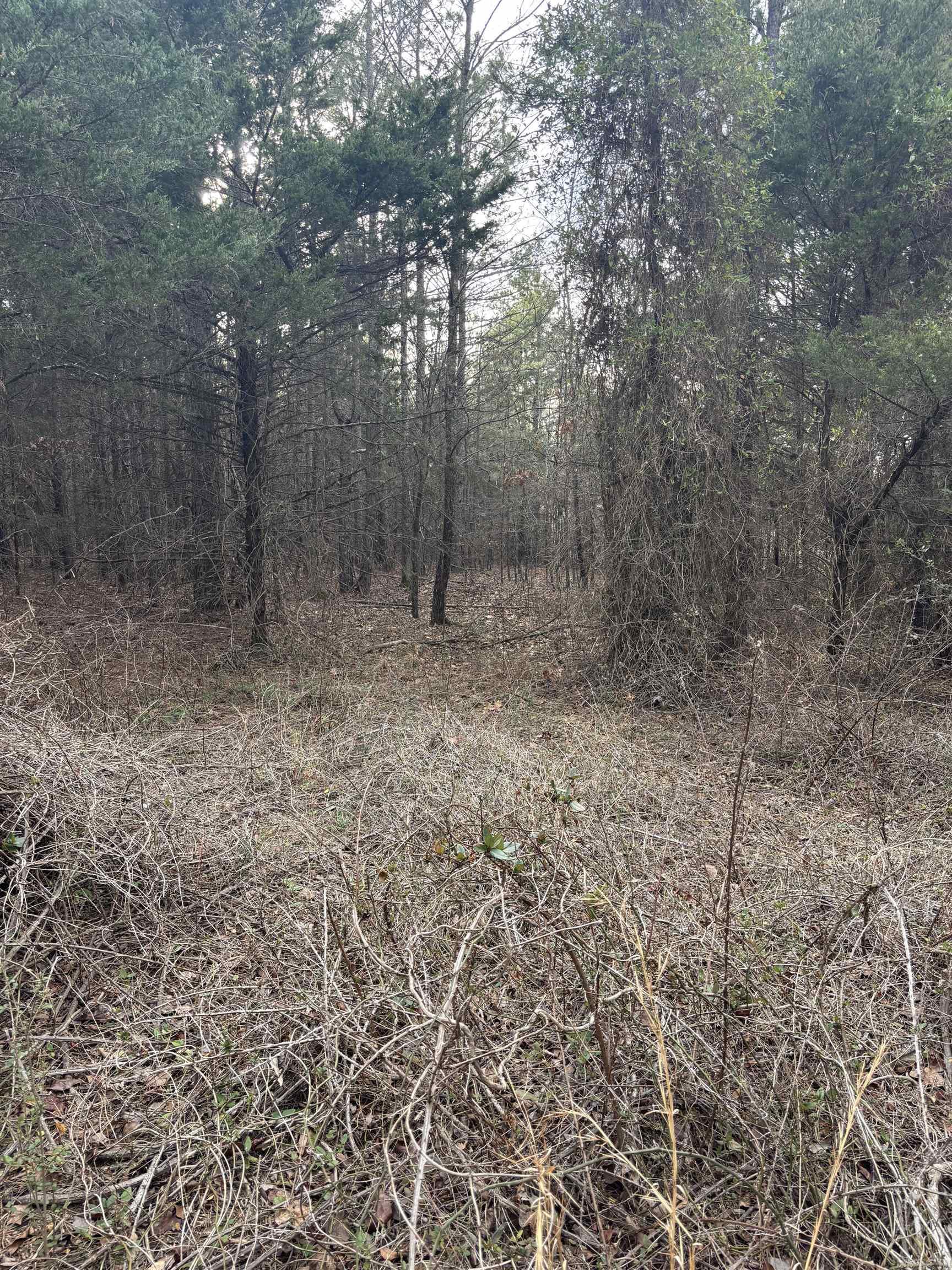 Not in Subdivision - Land
