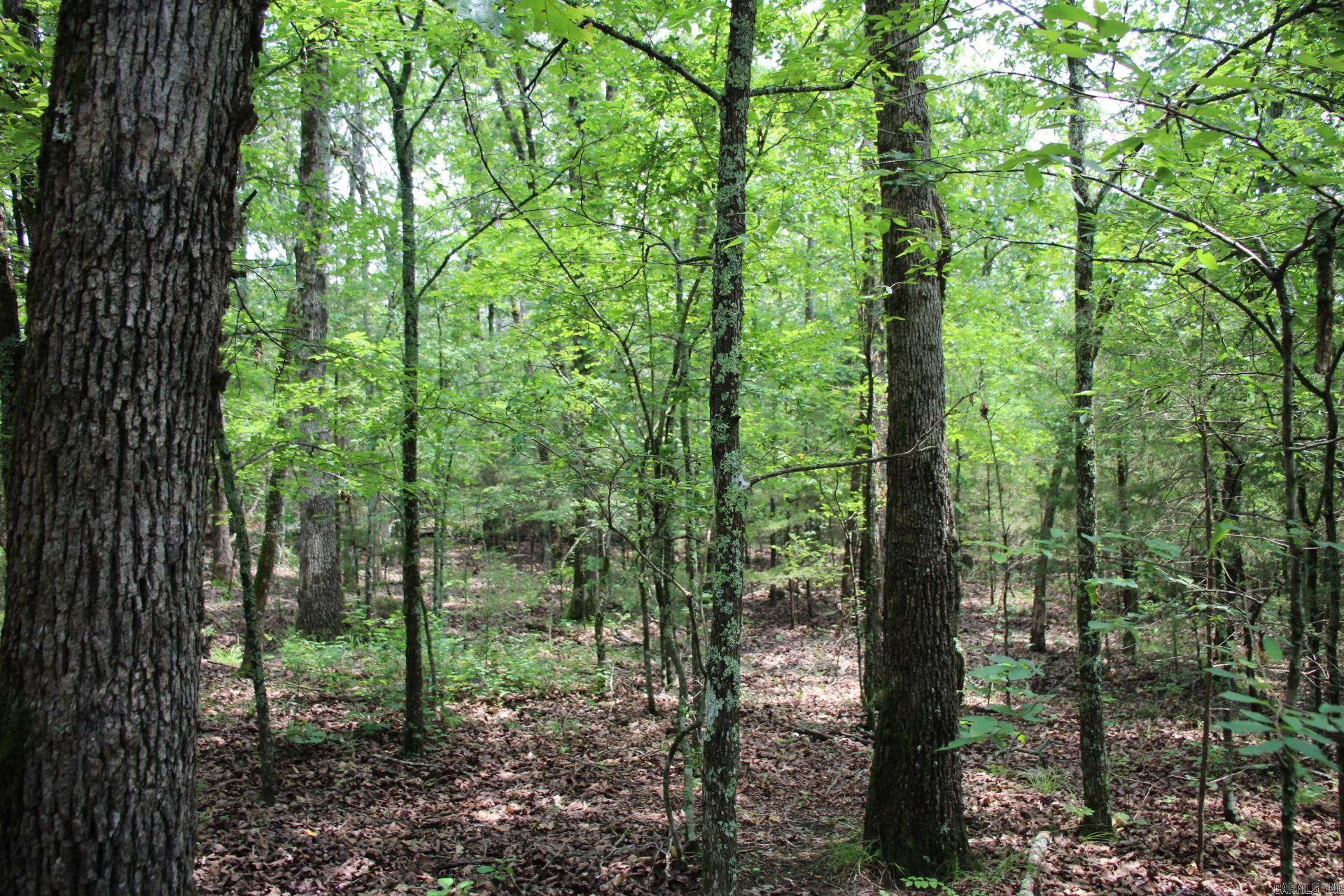 Not in Subdivision - Land