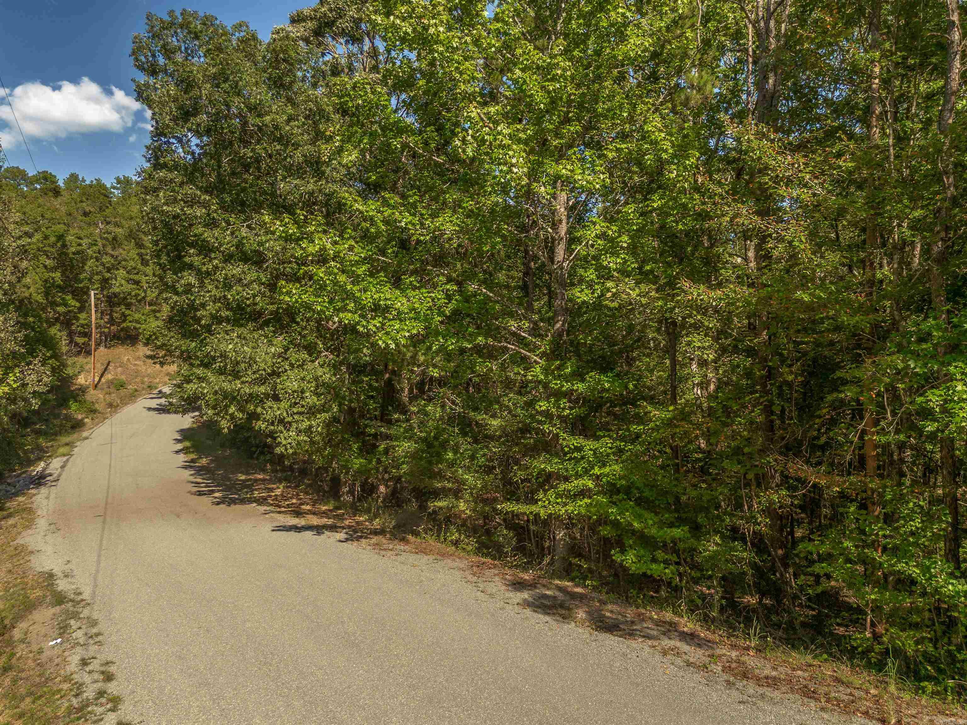 18.4 wooded acres in Roland with multiple potential build sites, a seasonal spring-fed creek, privacy, wildlife, and electricity available at the road. If you're looking for land that gives you flexibility, this property deserves a closer look. Whether you're planning a private retreat, future custom build, long-term investment, or exploring the potential for multiple homesites, this property offers room to think beyond a single use. The terrain, views, and natural layout create several possible building areas while still preserving the privacy and wooded setting that makes this part of Roland so appealing. An existing survey is already on file, and fresh aerial photography with boundary overlays is available. Message me for survey details, maps, or to walk the property in person.