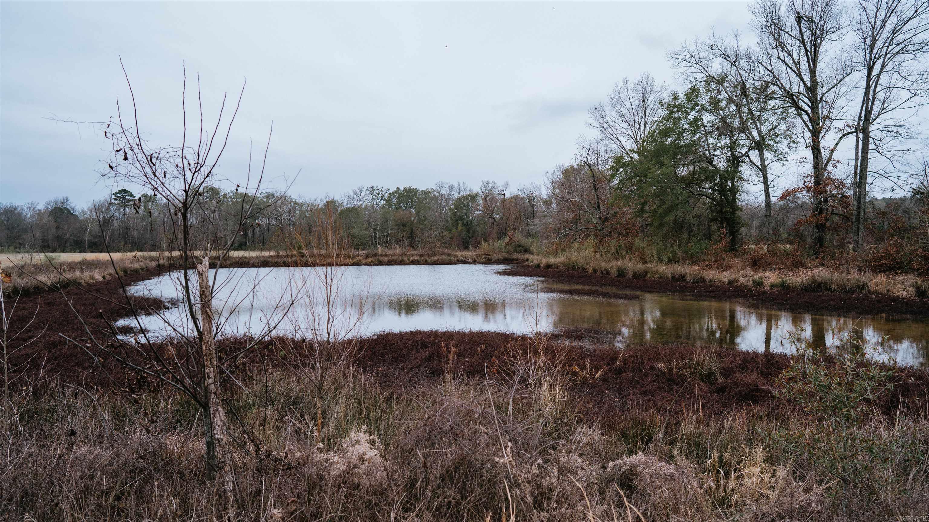 Clark County - Land