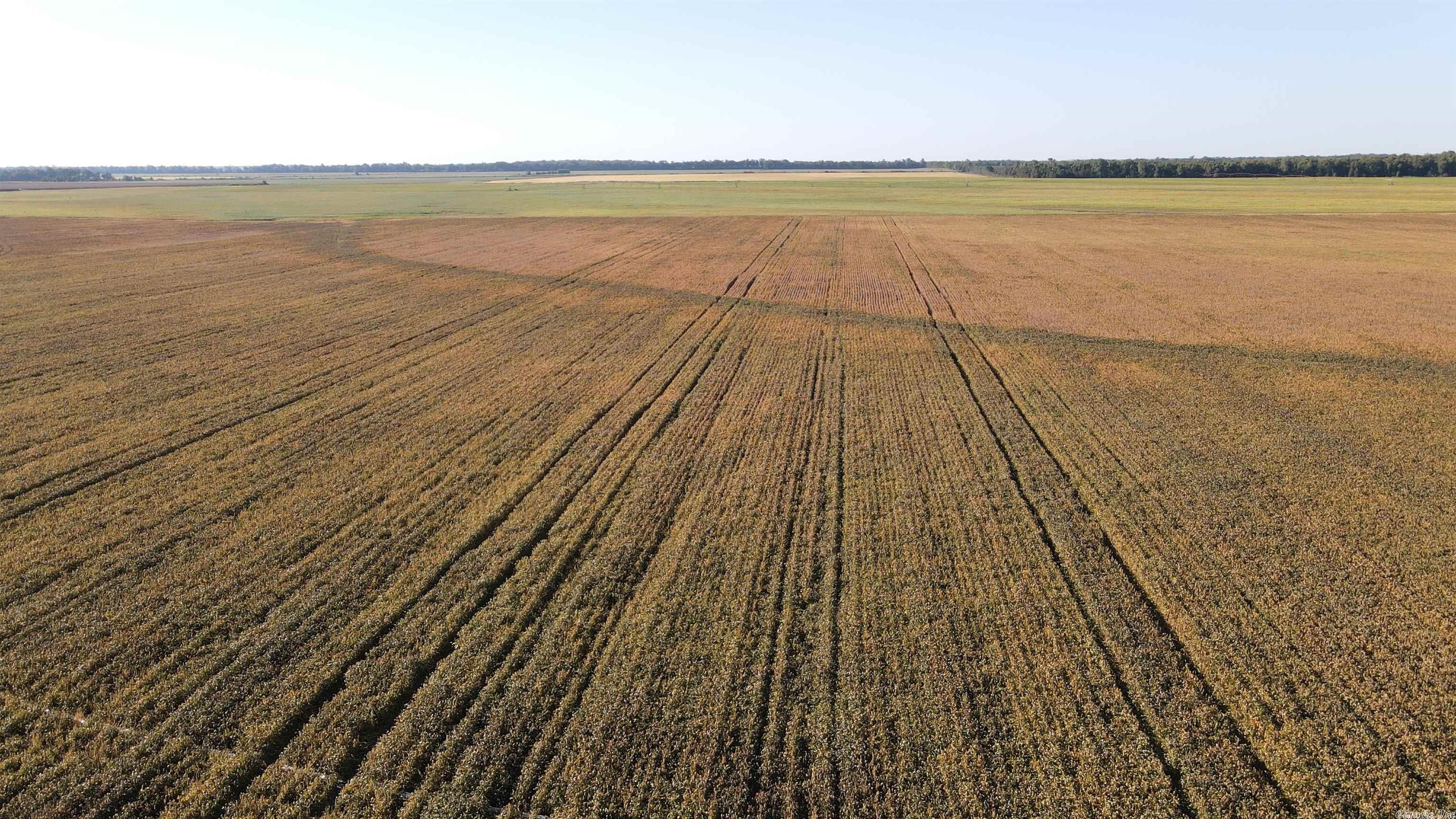Not in Subdivision - Farm