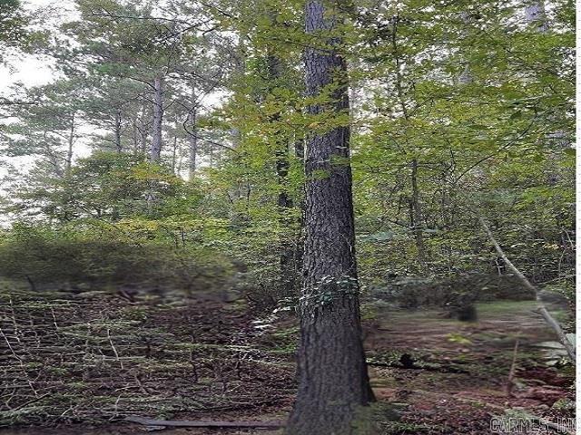 Hunting property with wonderful hills and valley in the area of AR TX hills. The property has a great creek and 67 acres of lots of marketable timber as well as several paths for a 4 wheel or hiking adventure. This property would make a great place for a hunting cabin with hills and rugged terrain and a live creek. Also joins MC 284 on north side of property.