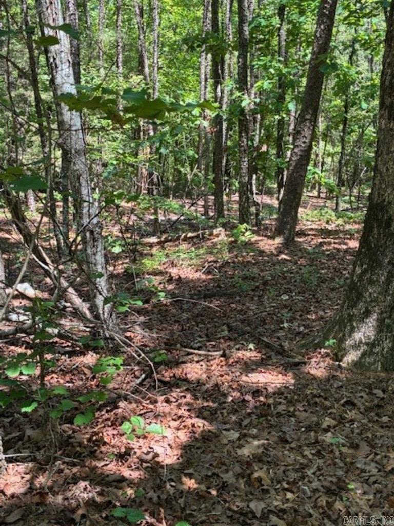 Vacant wooded lot with plenty of room to build your dream home! Centrally located to Hot Springs Village amenities: lakes, golf, trails, restaurants! POA New Member Buy-In Fee required at closing.