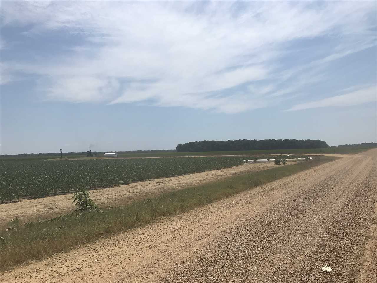 Located just west of Waldenburg on Highway 14.  Precision leveled with rice, beans and corn.  Excellent yields, available with confidentiality agreement.  Two wells on property.