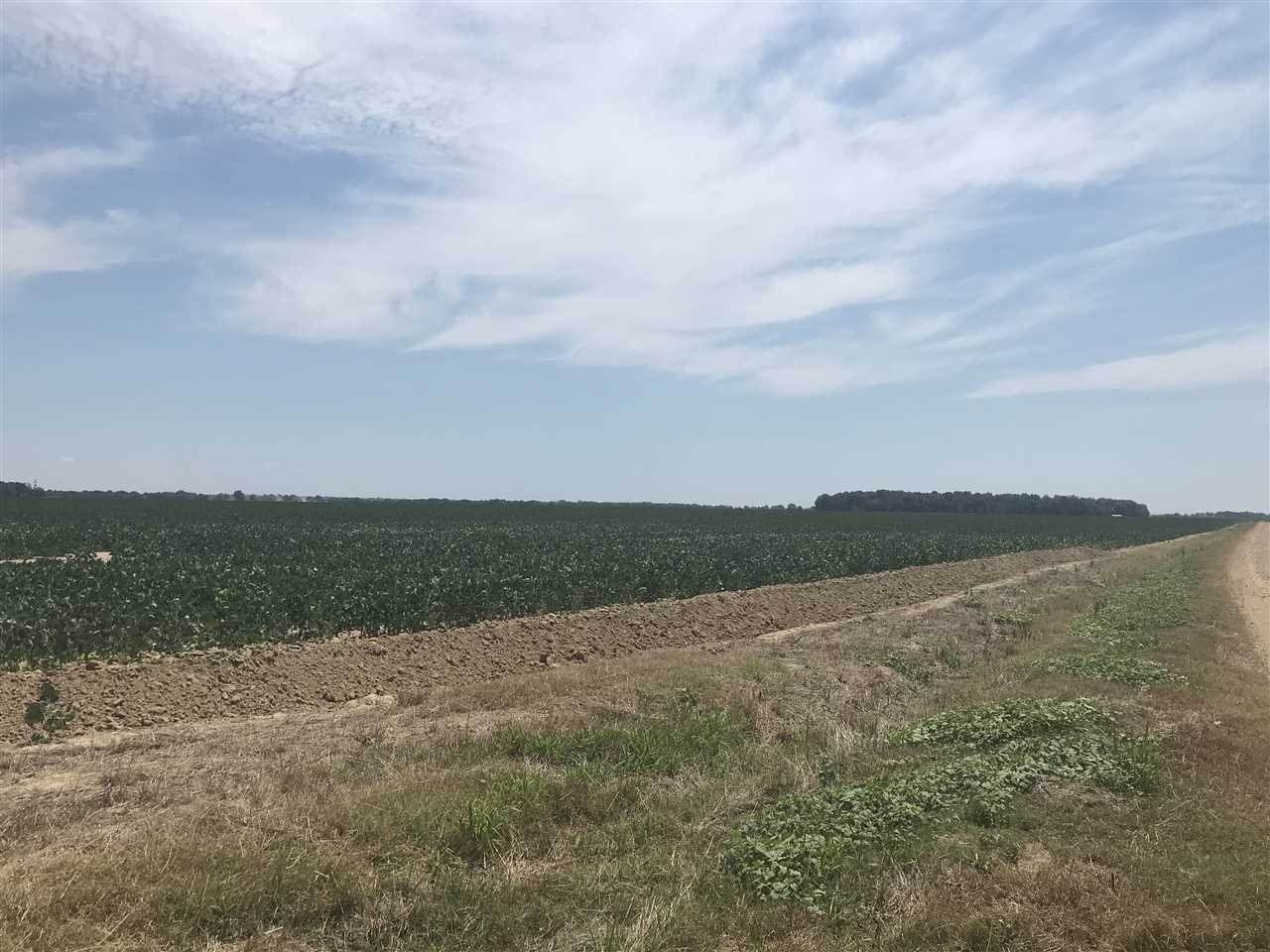Metes & Bounds - Farm