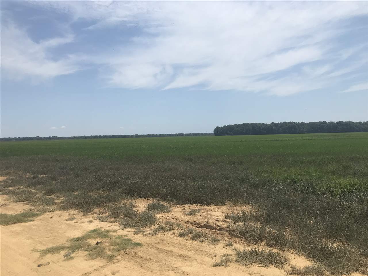 Metes & Bounds - Farm