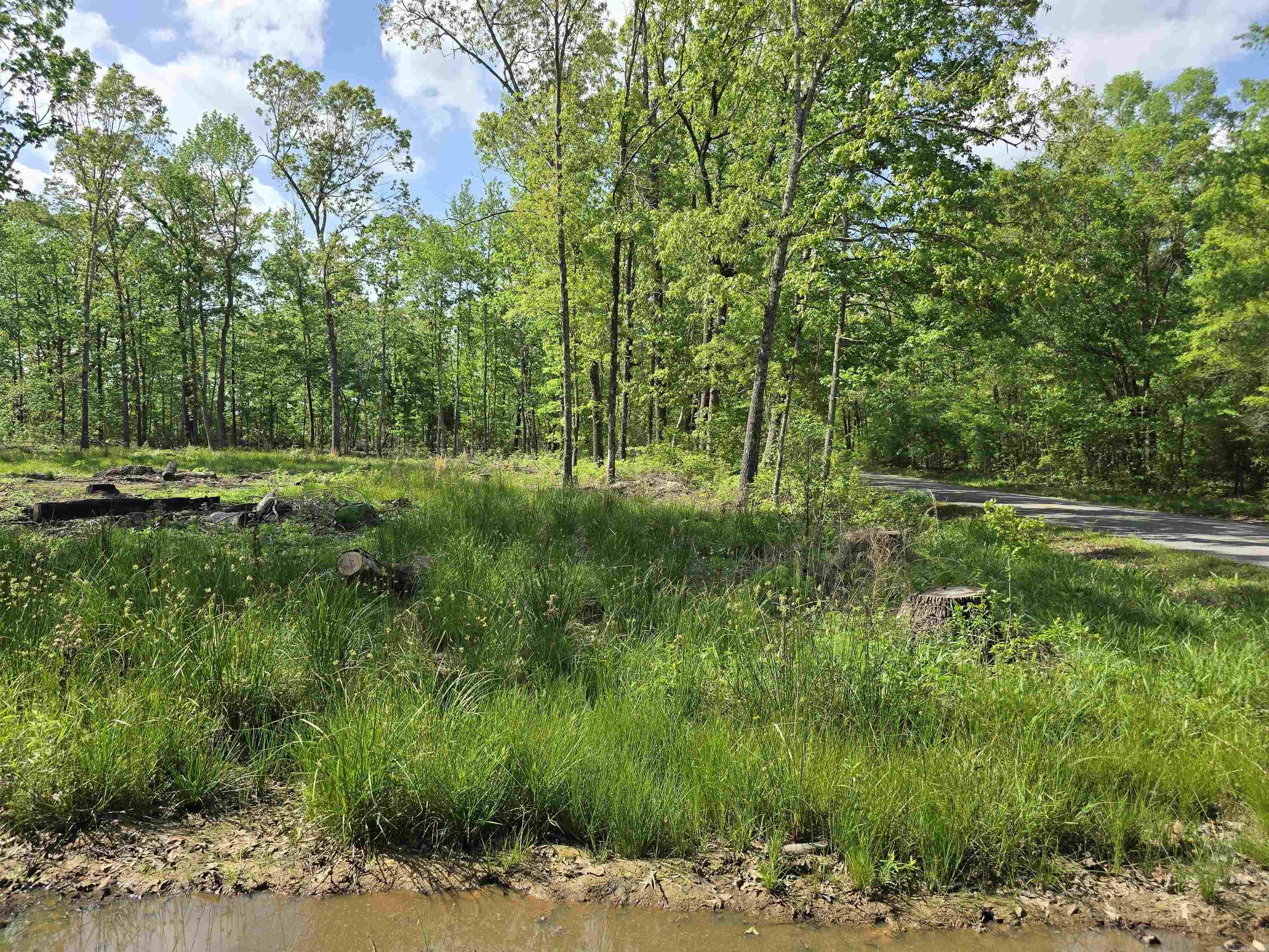 6 beautiful acres in a private country setting! Partially cleared and ready for your dream home. Located in Bebee school district and just a short 20 minute drive to Cabot or Searcy.