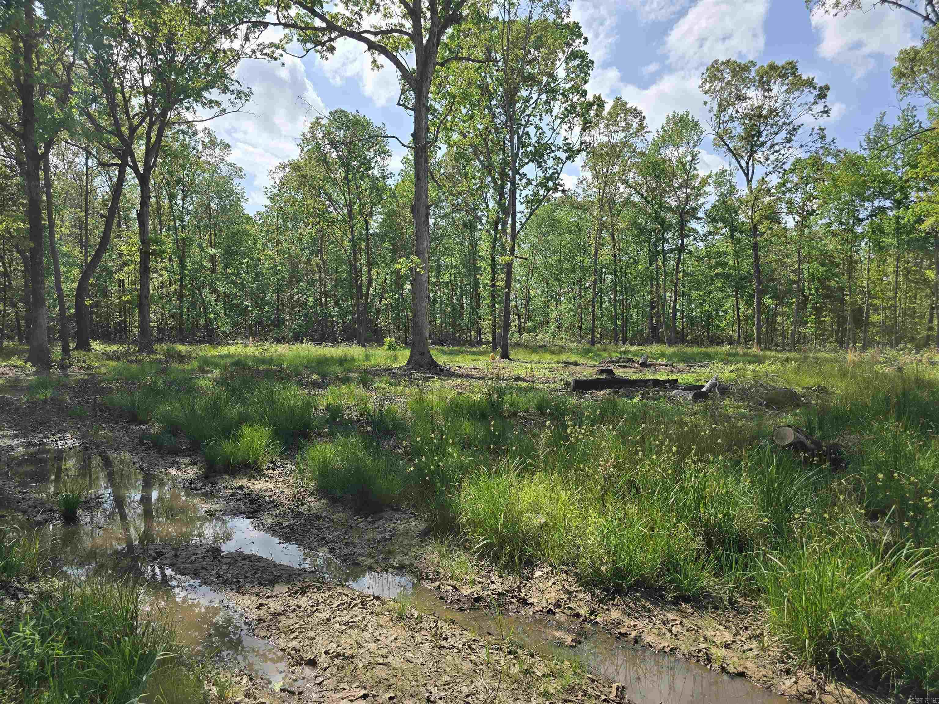 6 beautiful acres in a private country setting! Partially cleared and ready for your dream home. Located in Bebee school district and just a short 20 minute drive to Cabot or Searcy.