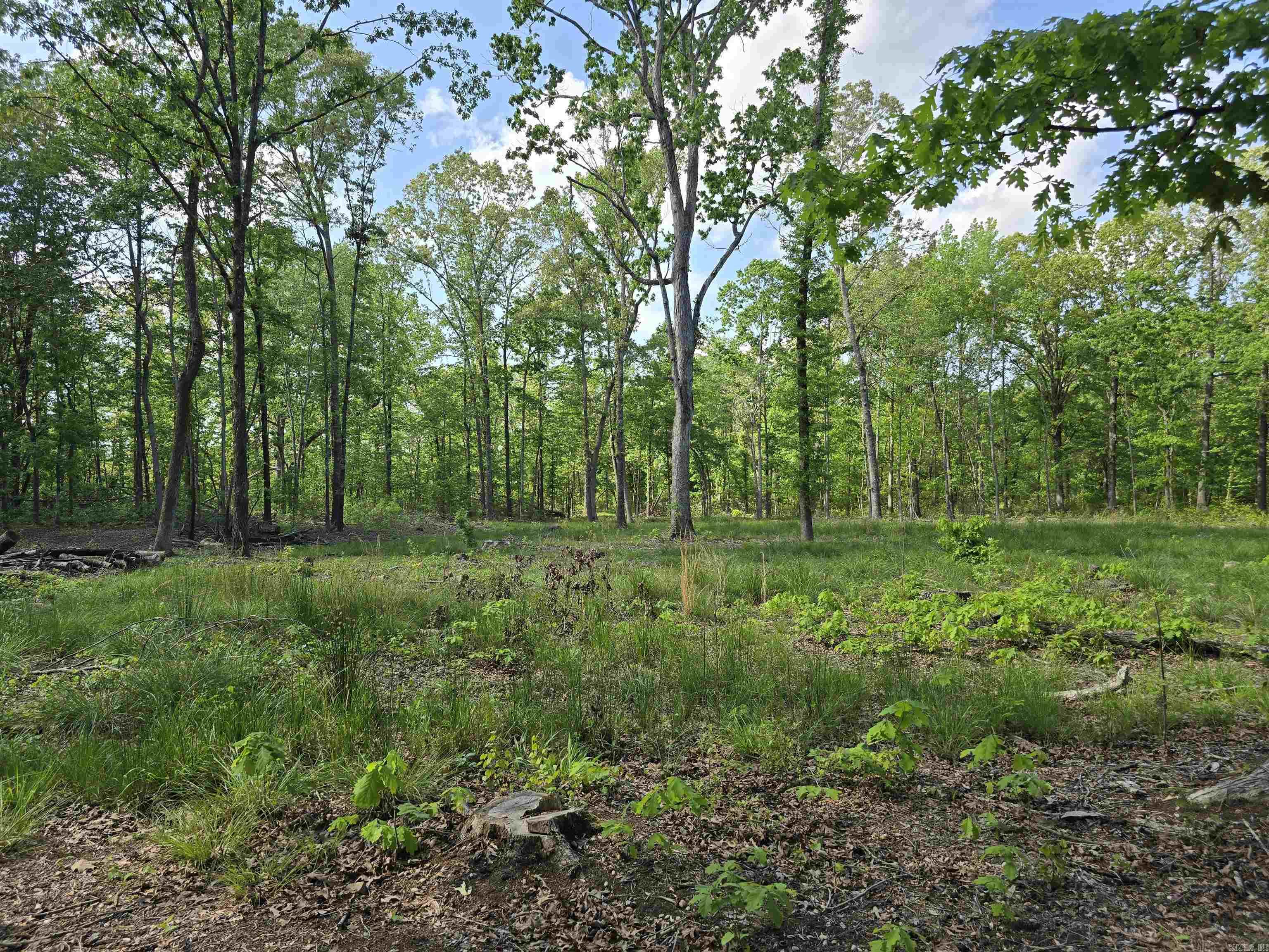 Not in Subdivision - Land