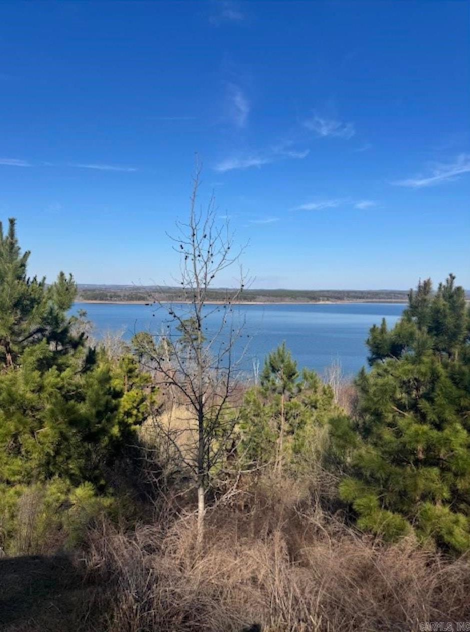 Diamond Bluff Estates - Land