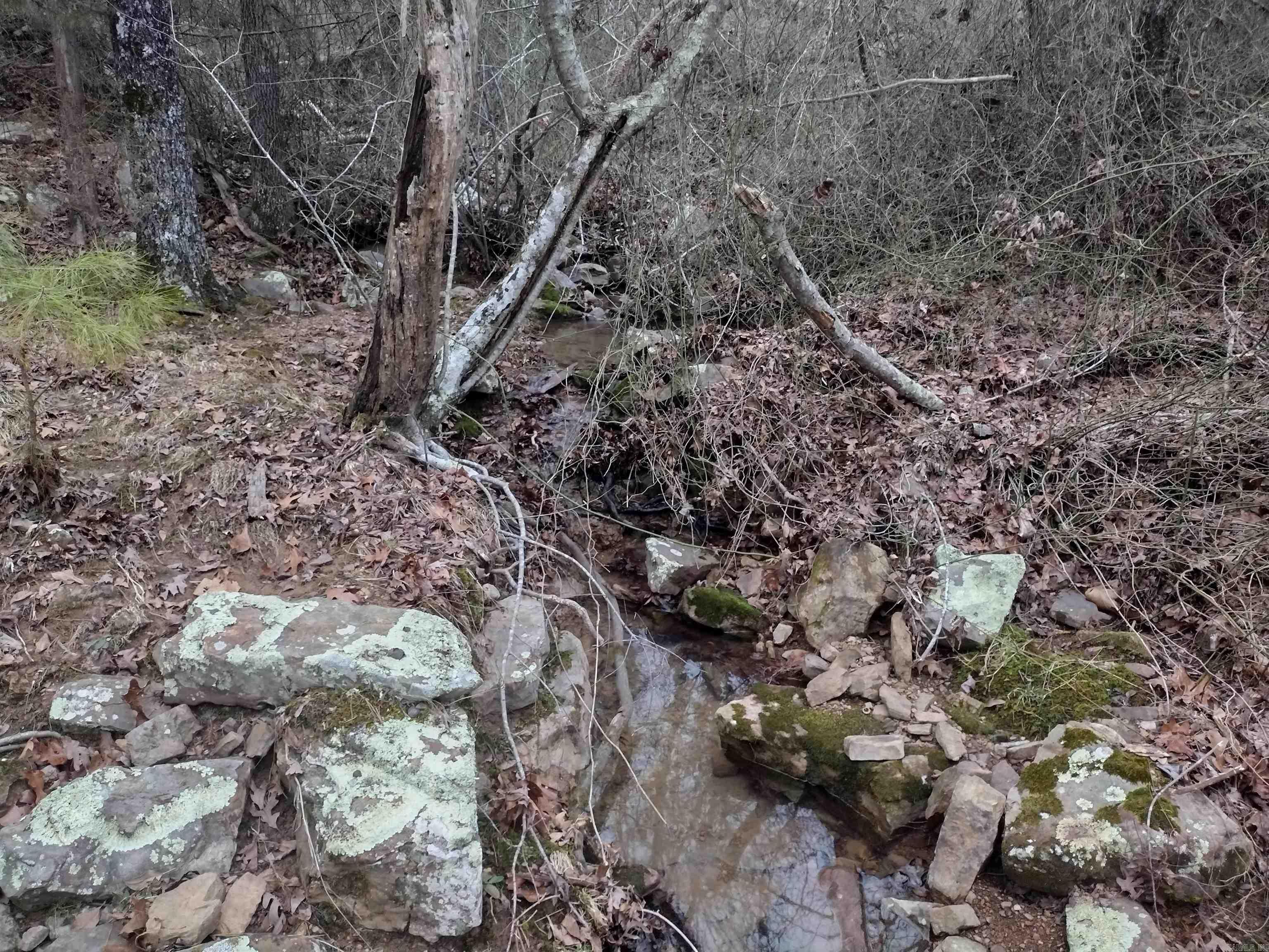 Desiring a spot that boast a picturesque view, gentle stream, wooded surroundings and ample privacy, conveniently located about 15 minutes to town