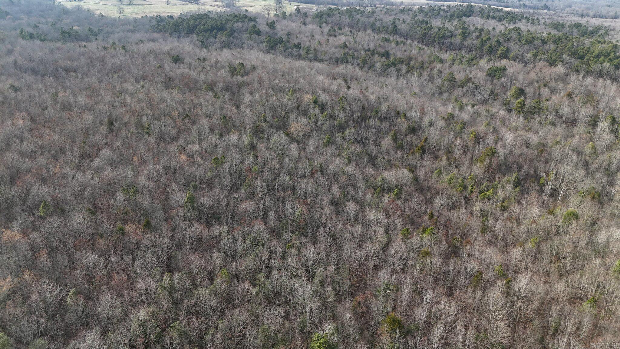 Mountain Fork - Land