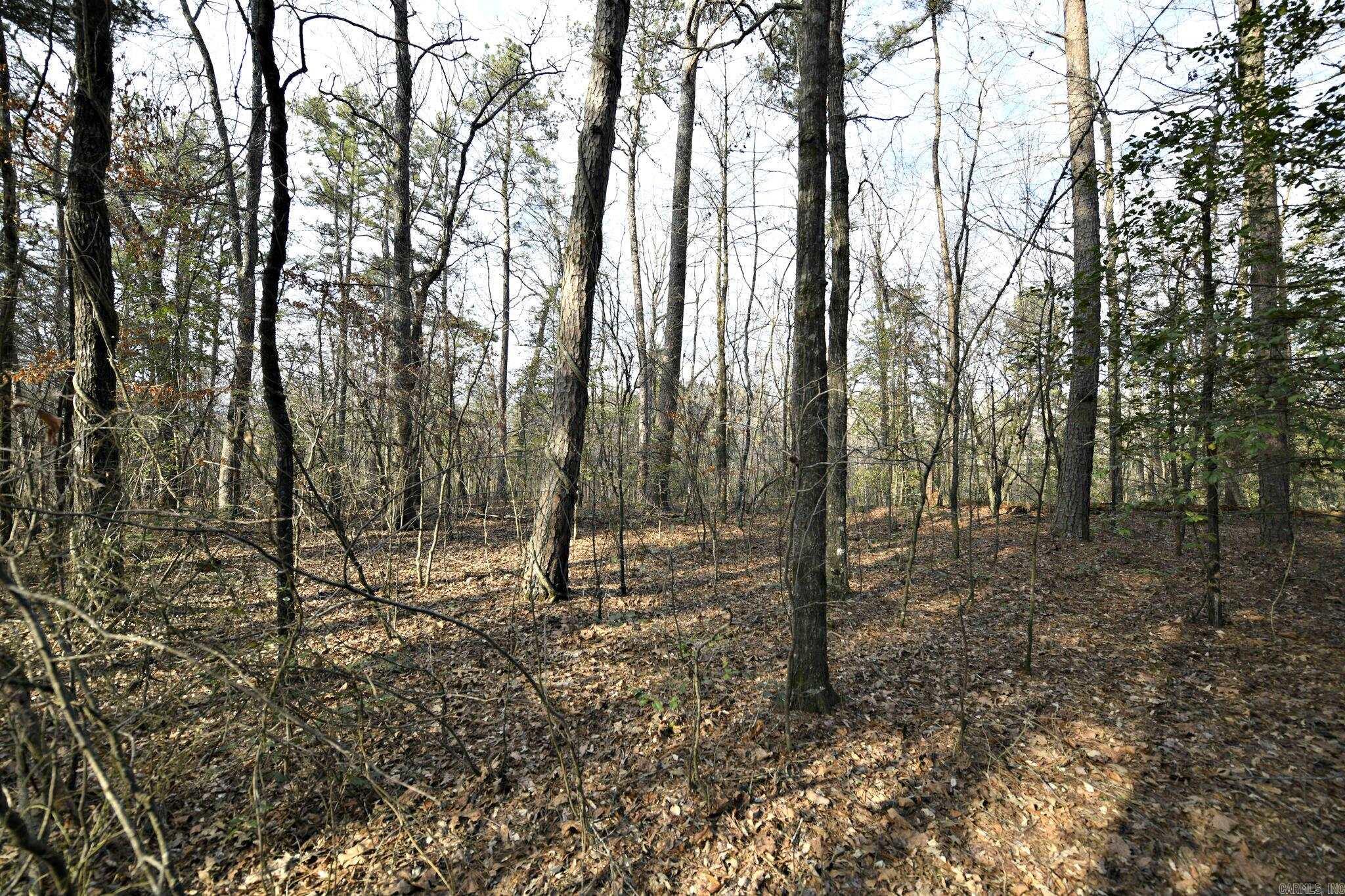 Mountain Fork - Land
