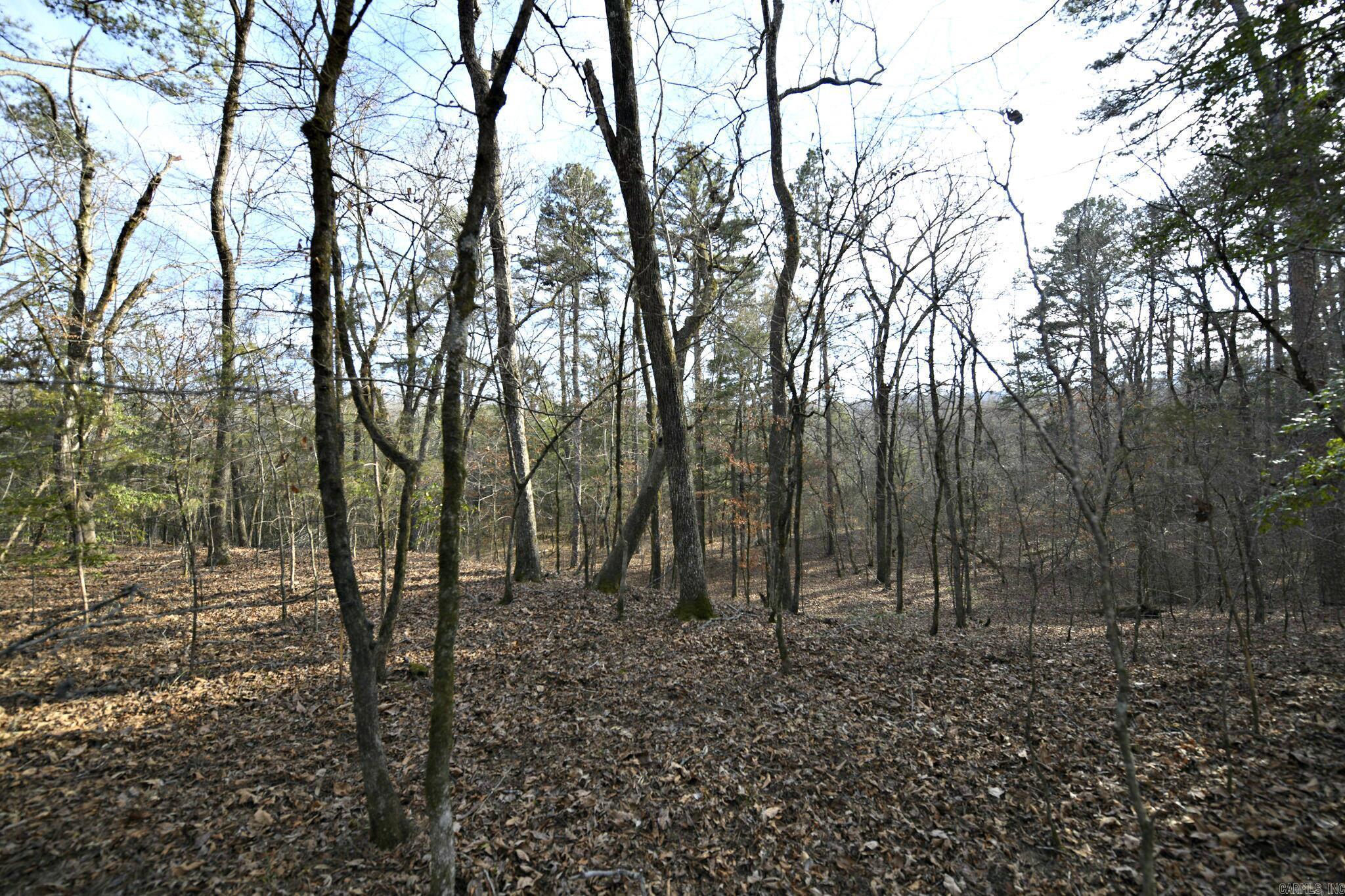 Mountain Fork - Land