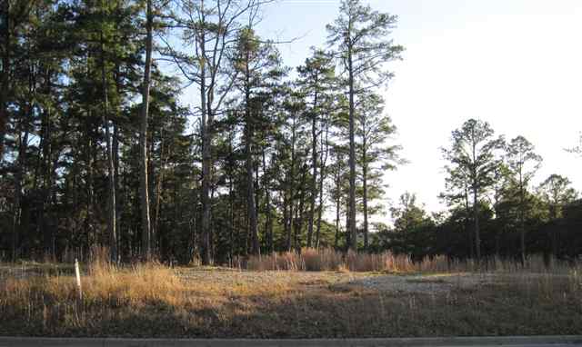 CHENAL VALLEY ADDN - Land