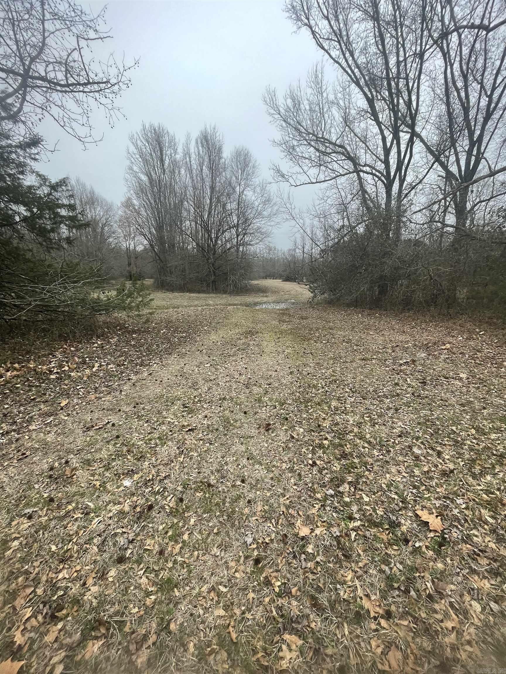 Atkins - Land