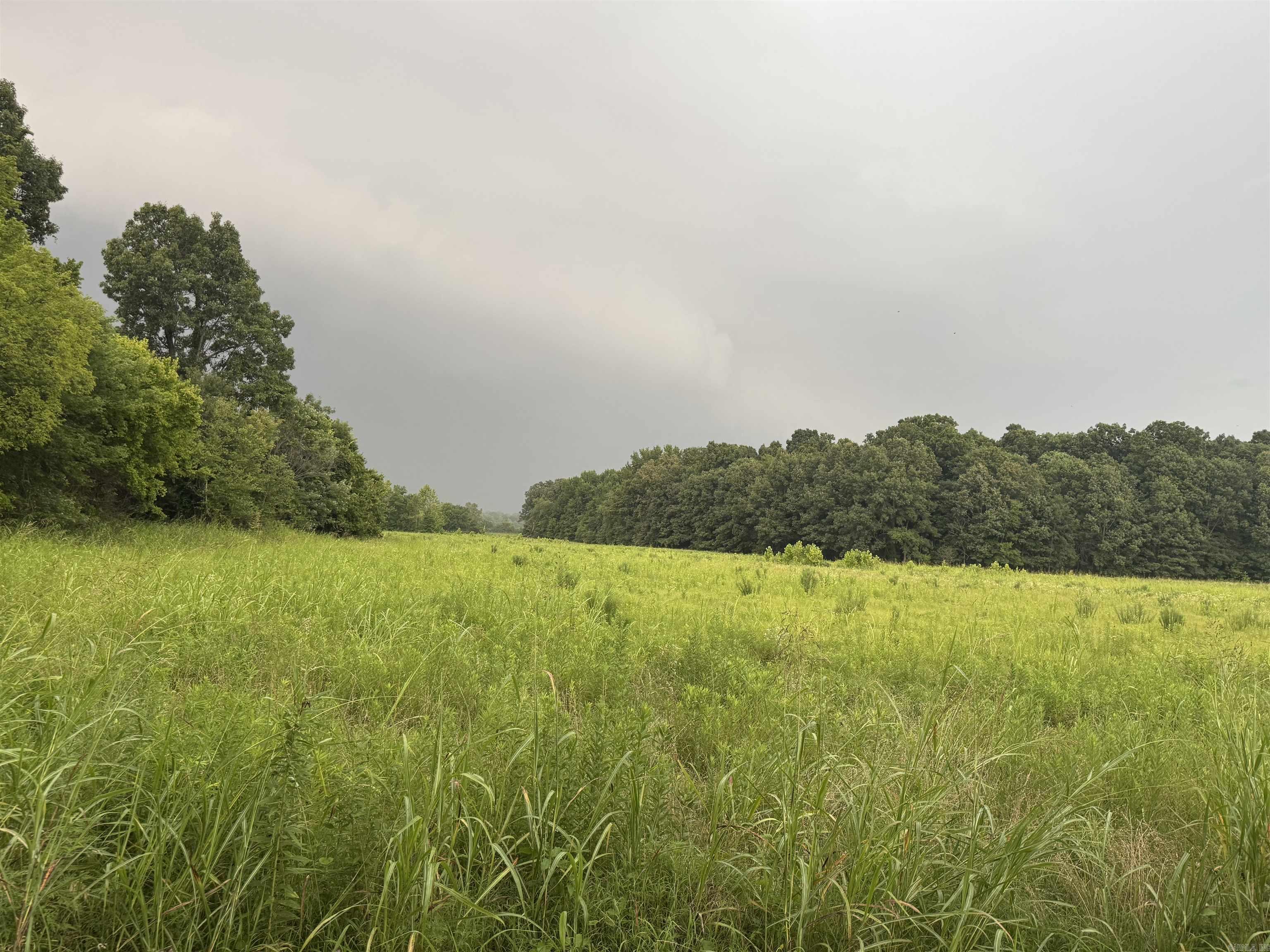 Discover the perfect blend of open pasture and mature timber on this beautiful 18.50-acre property located outside the city limits. Whether you're looking to build your dream home, start a small farm, establish a recreational retreat, or invest in land, this property offers endless possibilities. The combination of open pasture and wooded acreage provides plenty of room for livestock, hunting, hiking, or simply enjoying the outdoors. Give me a call to see for yourself 870-215-9916!
