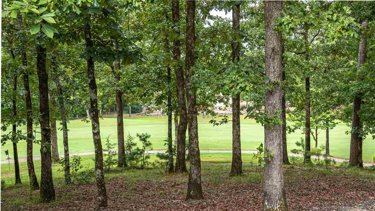 Isabella - Residential