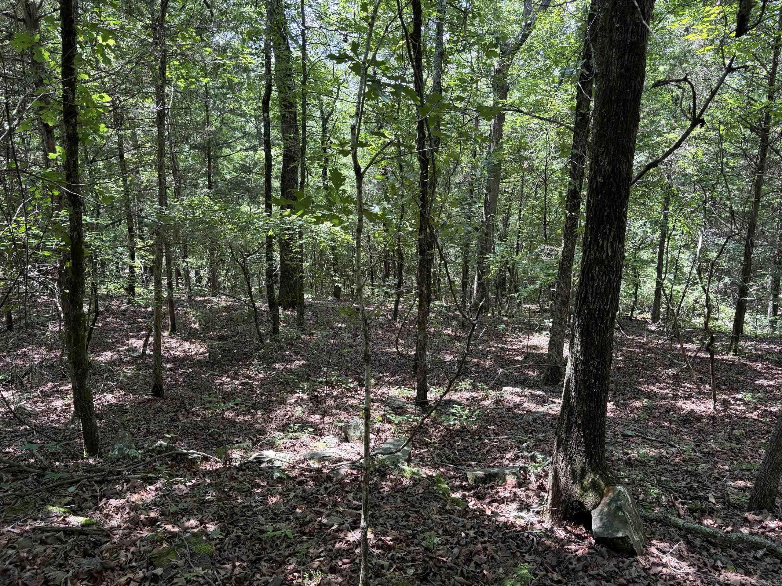 Not in Subdivision - Land