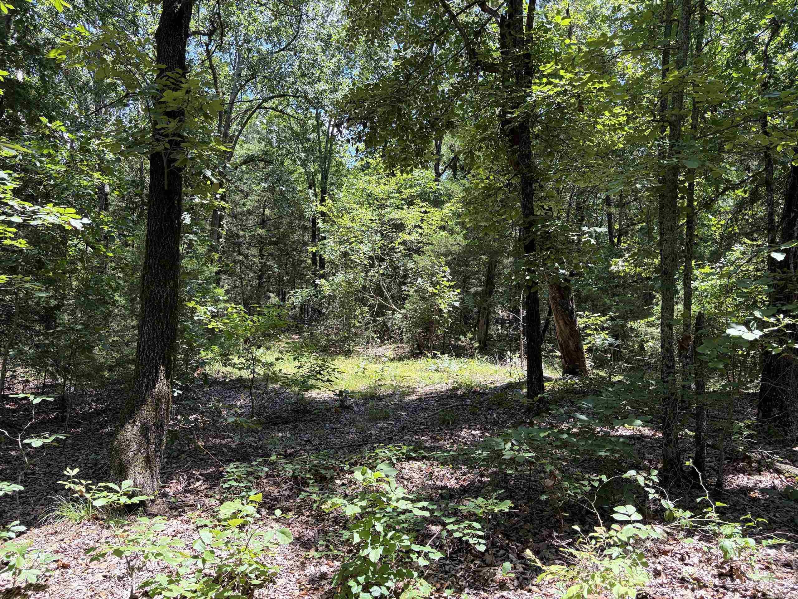 Not in Subdivision - Land