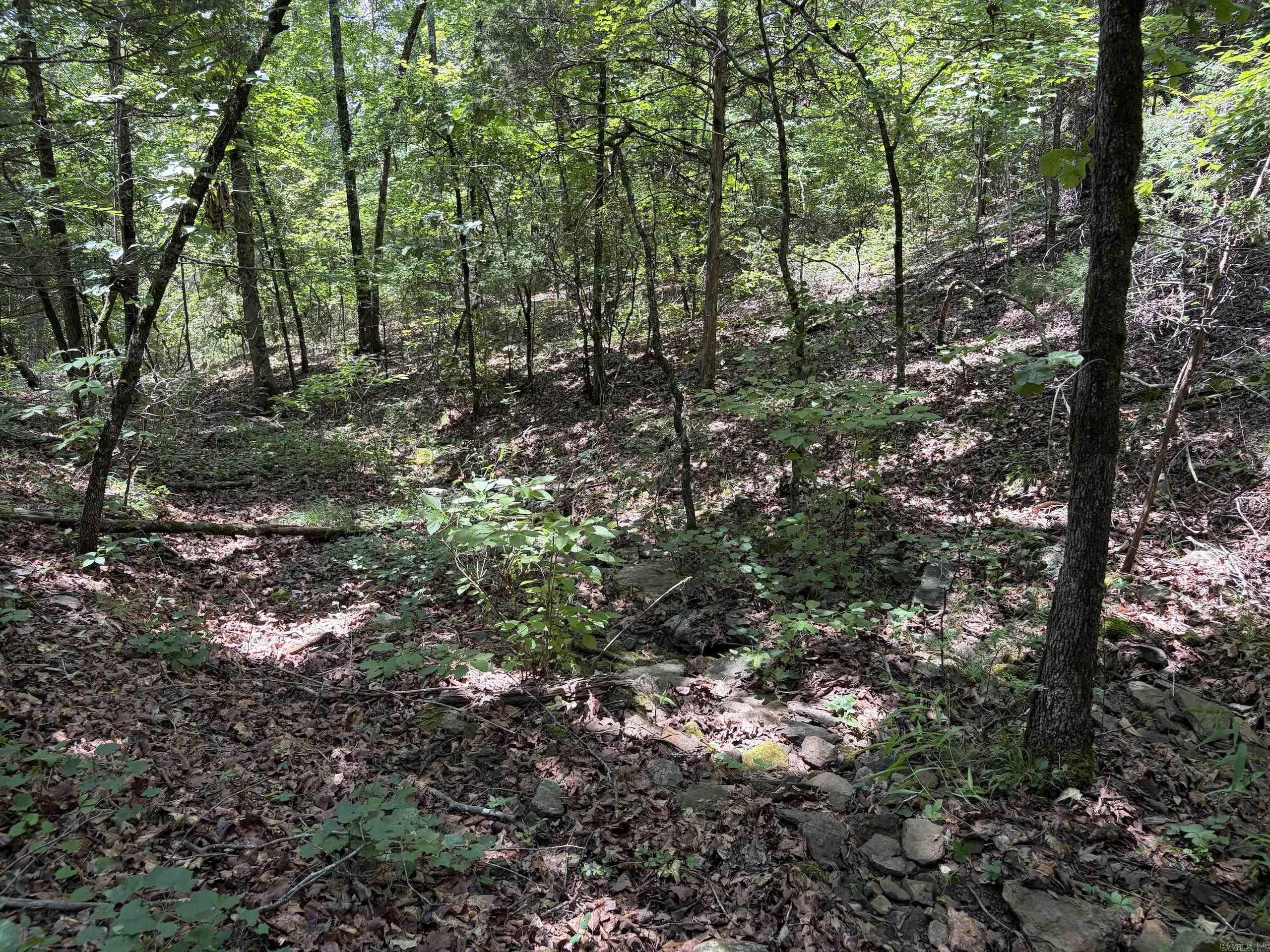 Not in Subdivision - Land