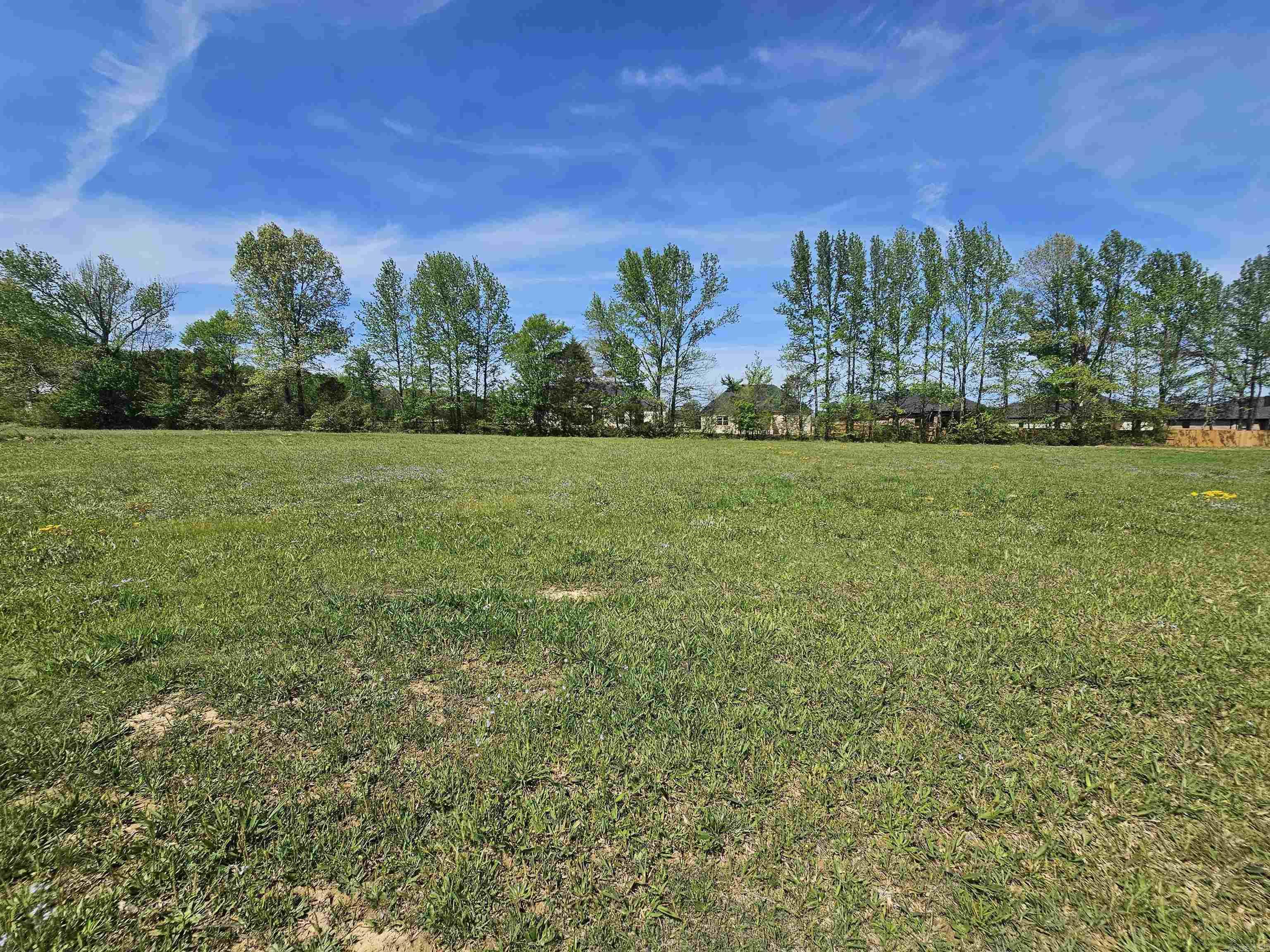 Welcome to a growing community in Ward offering ready-to-build 1-acre homesites that blend space, privacy, and convenience. Located in a rapidly developing area, this subdivision provides the perfect setting to build your dream home with easy access to nearby amenities. Don’t miss your chance to secure your place in this sought-after location! Agents see remarks.