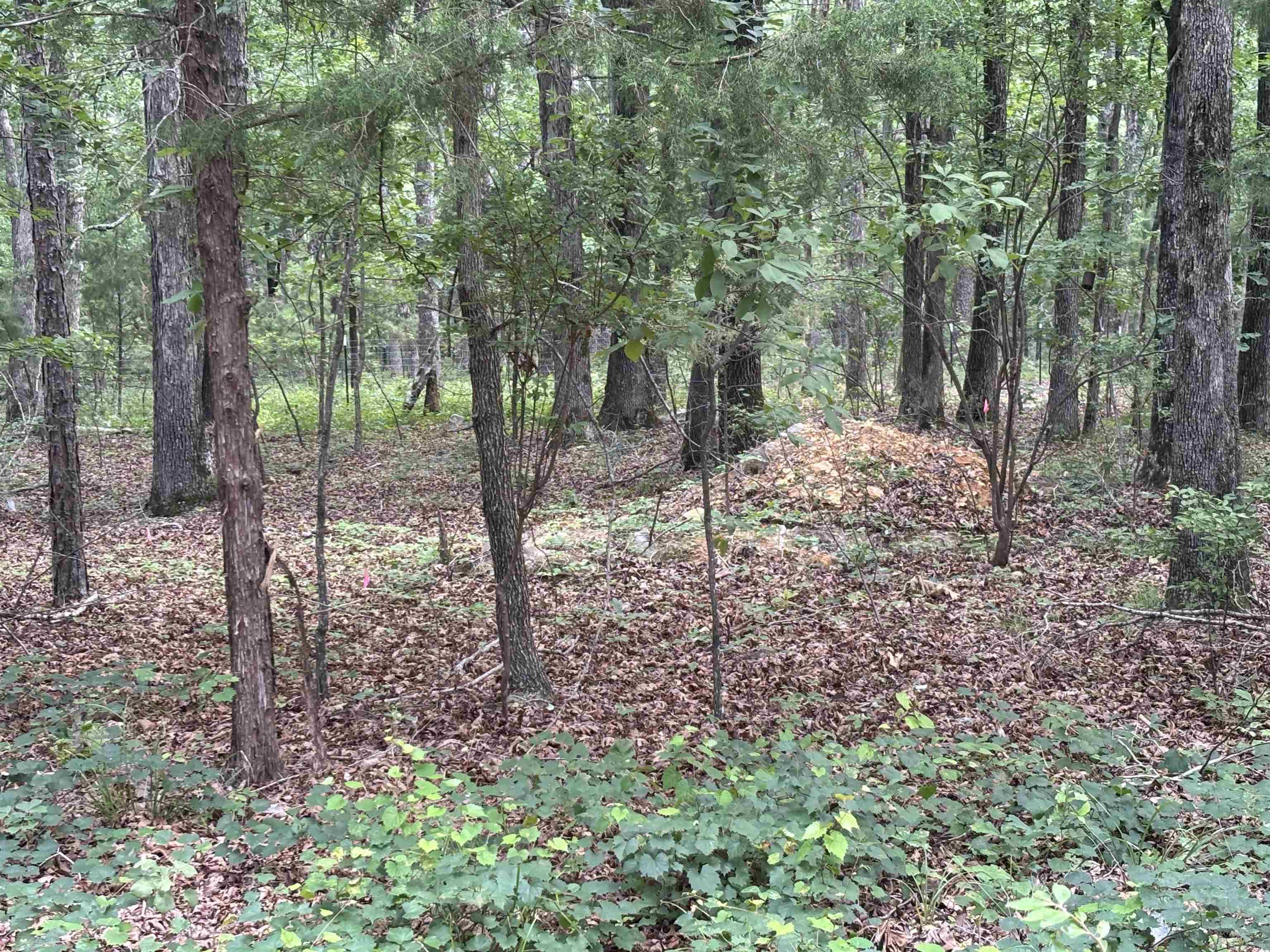 Not in Subdivision - Land