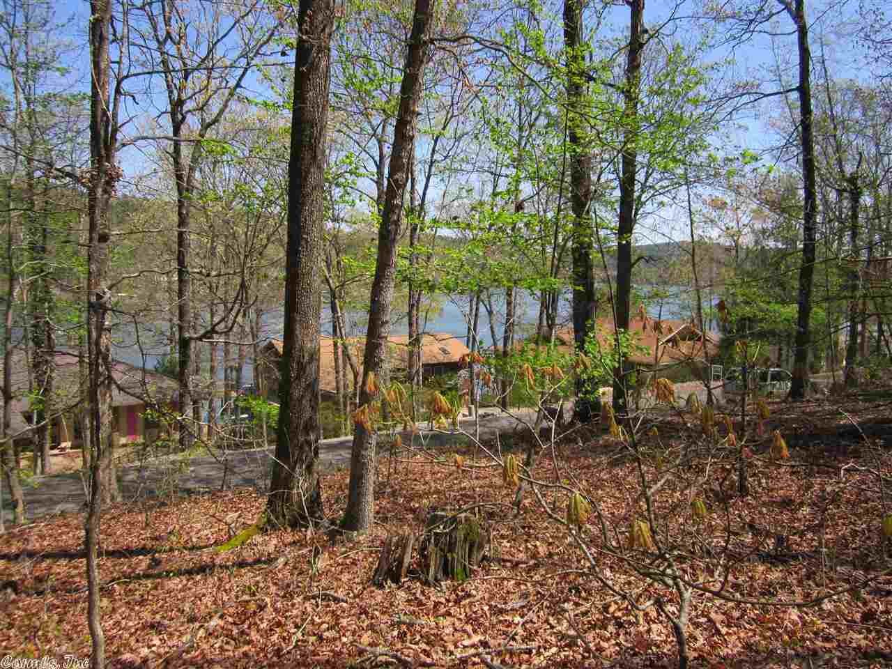ACROSS STREET FROM LAKE CORTEZ!  Nice view of Lake!  Upslope then almost flat lot, great for building a wonderful home....if not enough land, then purchase the property next door as well! (mls # 10384729)  Both lots are owned by the same residents and on the market now...possible deal if want to purchase both!  great area, great lake, with beautiful homes throughout.