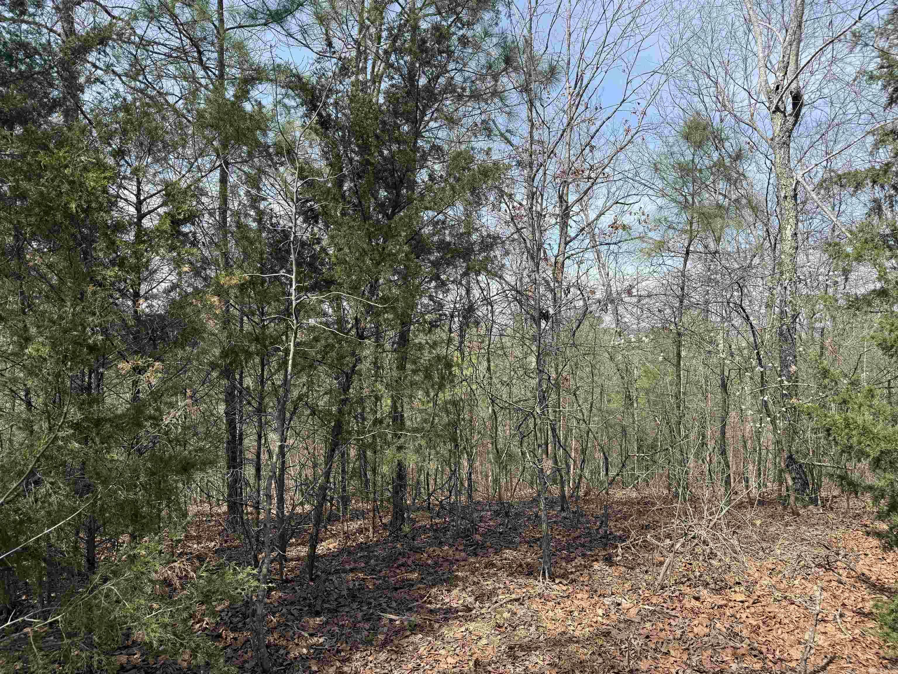 Live where you can land, explore, and unwind - all in one place! Build your dream home or getaway retreat in one of Arkansas' premier gated airpark communities. Nestled in the beautiful Ozark Mountains, Holley Mountain Airpark offers the perfect blend of privacy, adventure and aviation lifestyle. This exceptional neighborhood features a 4,800 ft x 50 ft paved runway with two GPS approaches and pilot-controlled lighting. Beyond the runway, enjoy everything the Ozarks have to offer- hiking, ATV trails, golf courses, and fishing in the nearby crystal-clear waters of Greers Ferry Lake, located only 20 minutes away. (The property can be accessed from Mustang Drive or the gravel driveway behind the Community Center/ Fire Dept. (Blue building).)