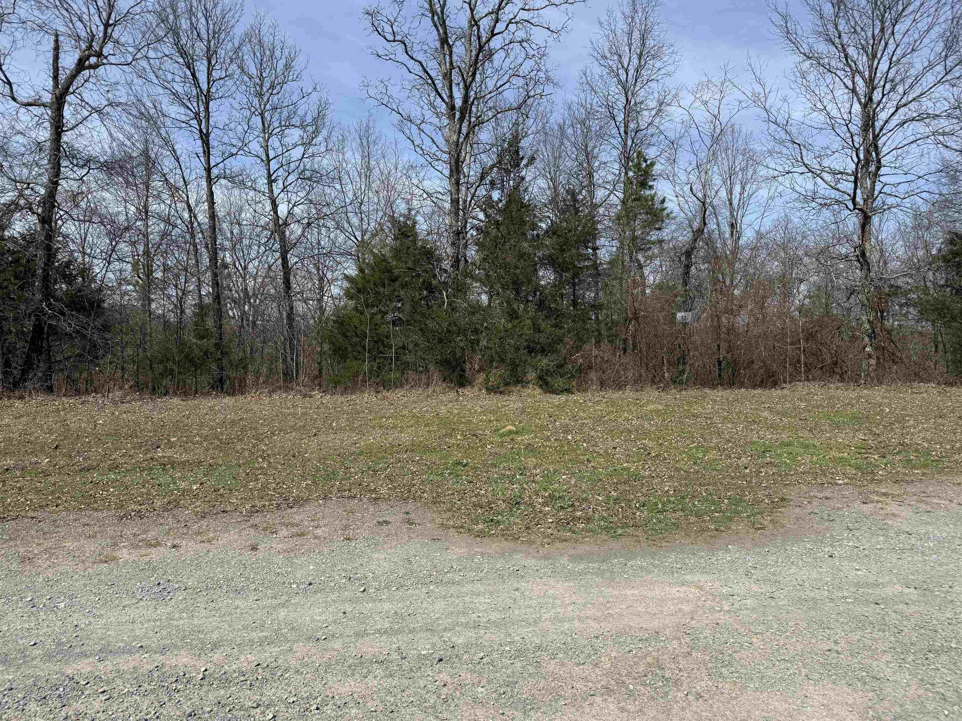 Holley Mountain Airpark - Land