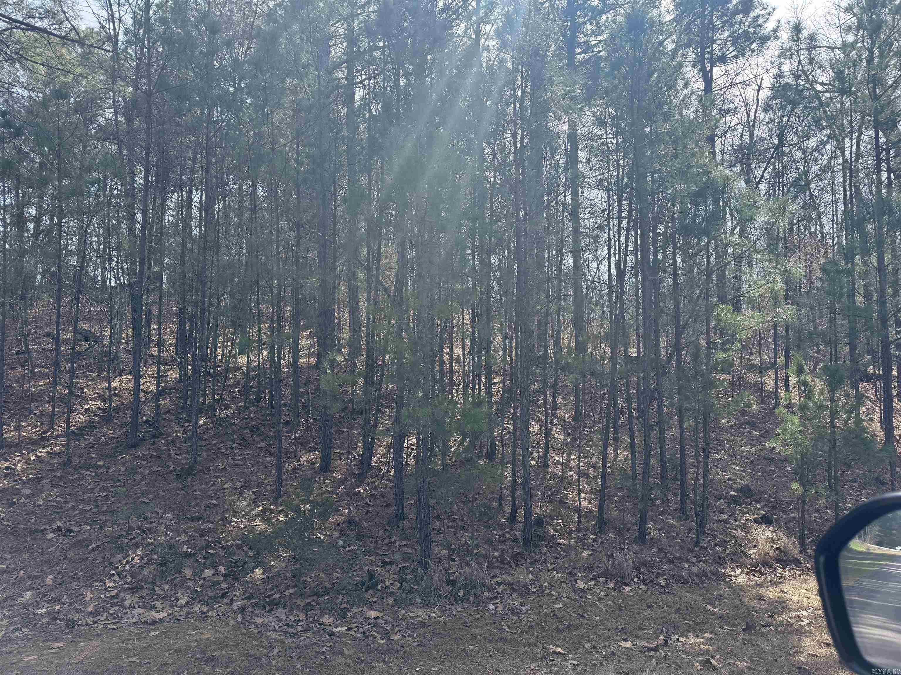 Holley Mountain Airpark - Land
