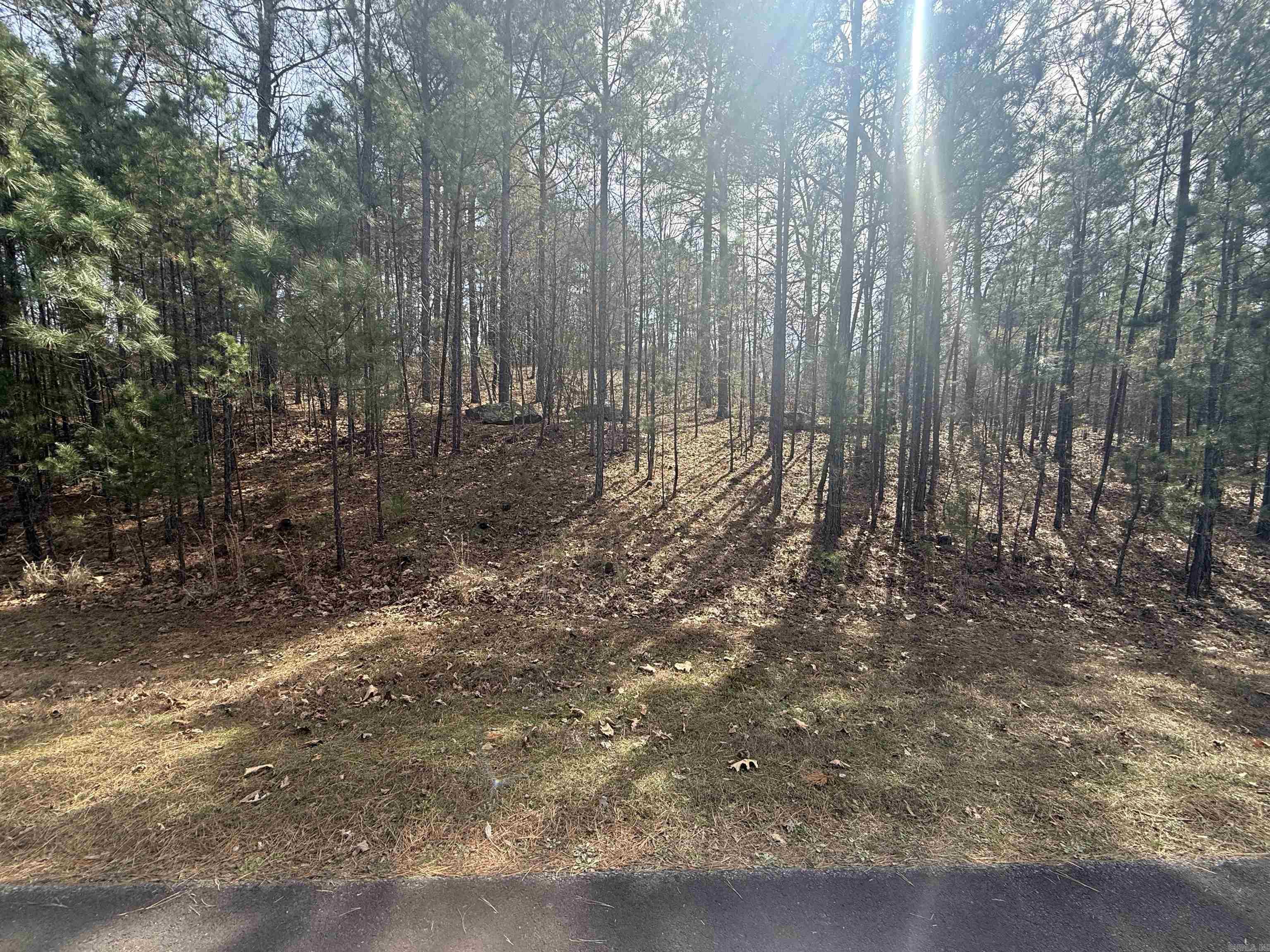 Holley Mountain Airpark - Land