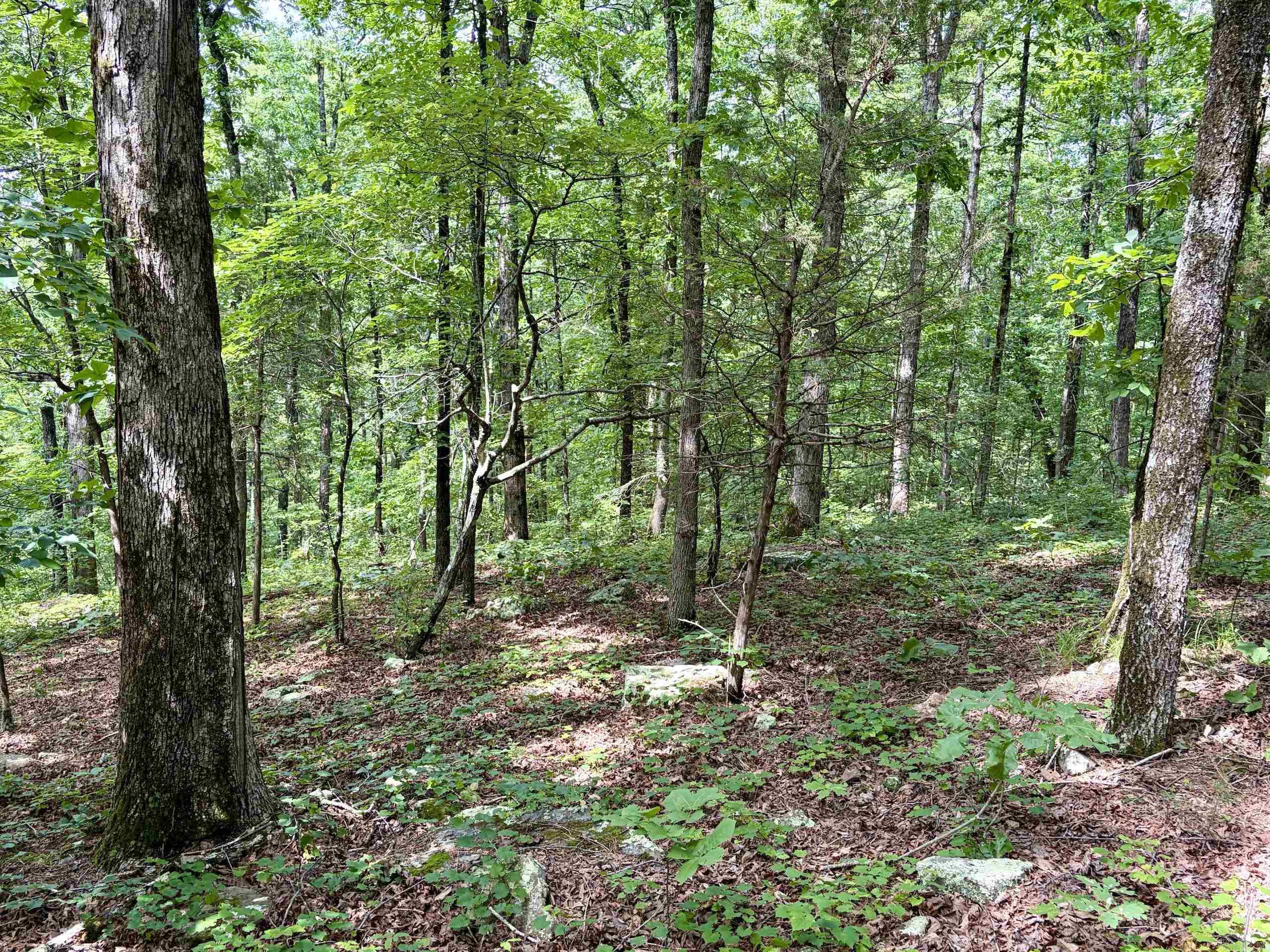 Not in Subdivision - Land